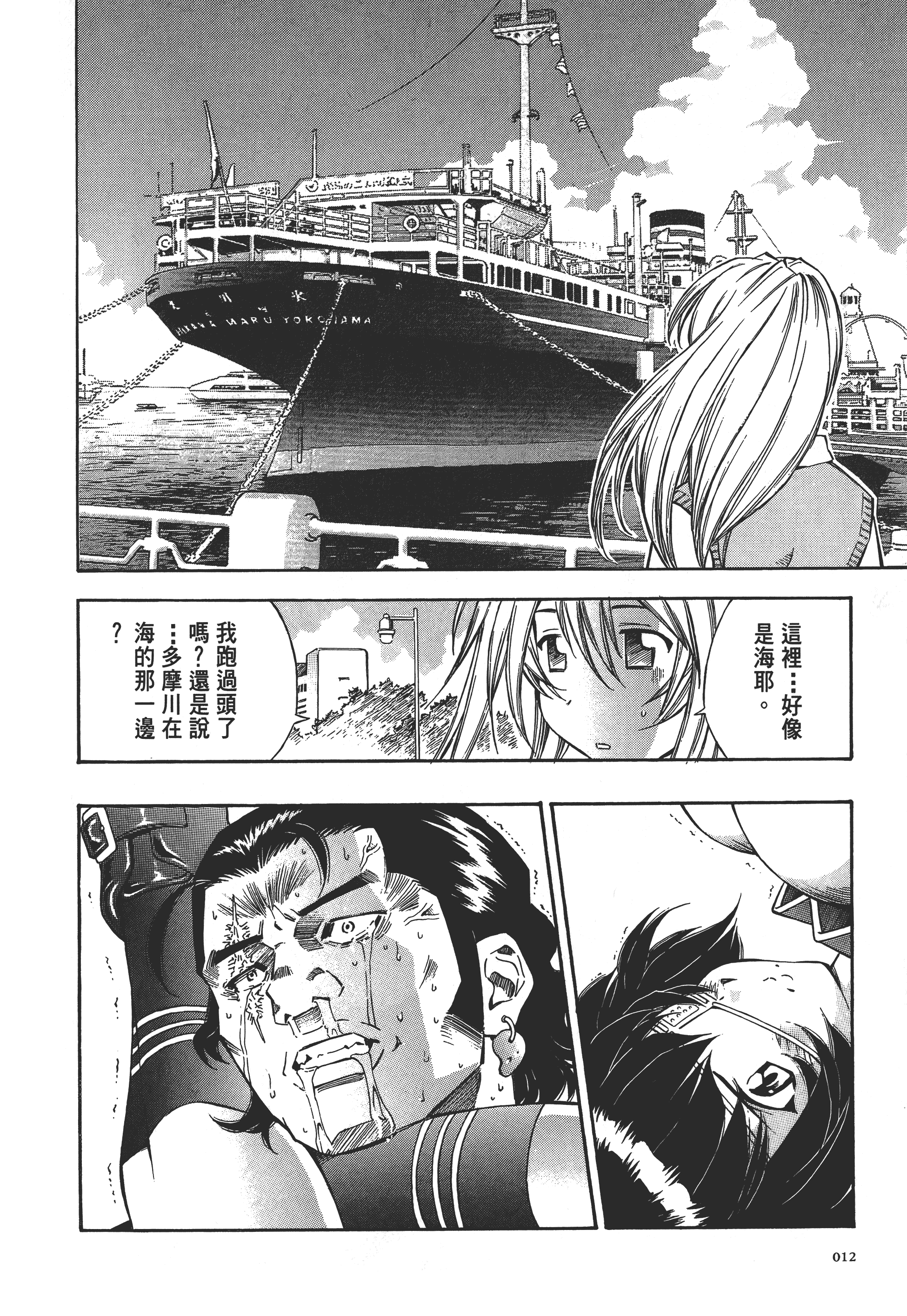 第 12 页