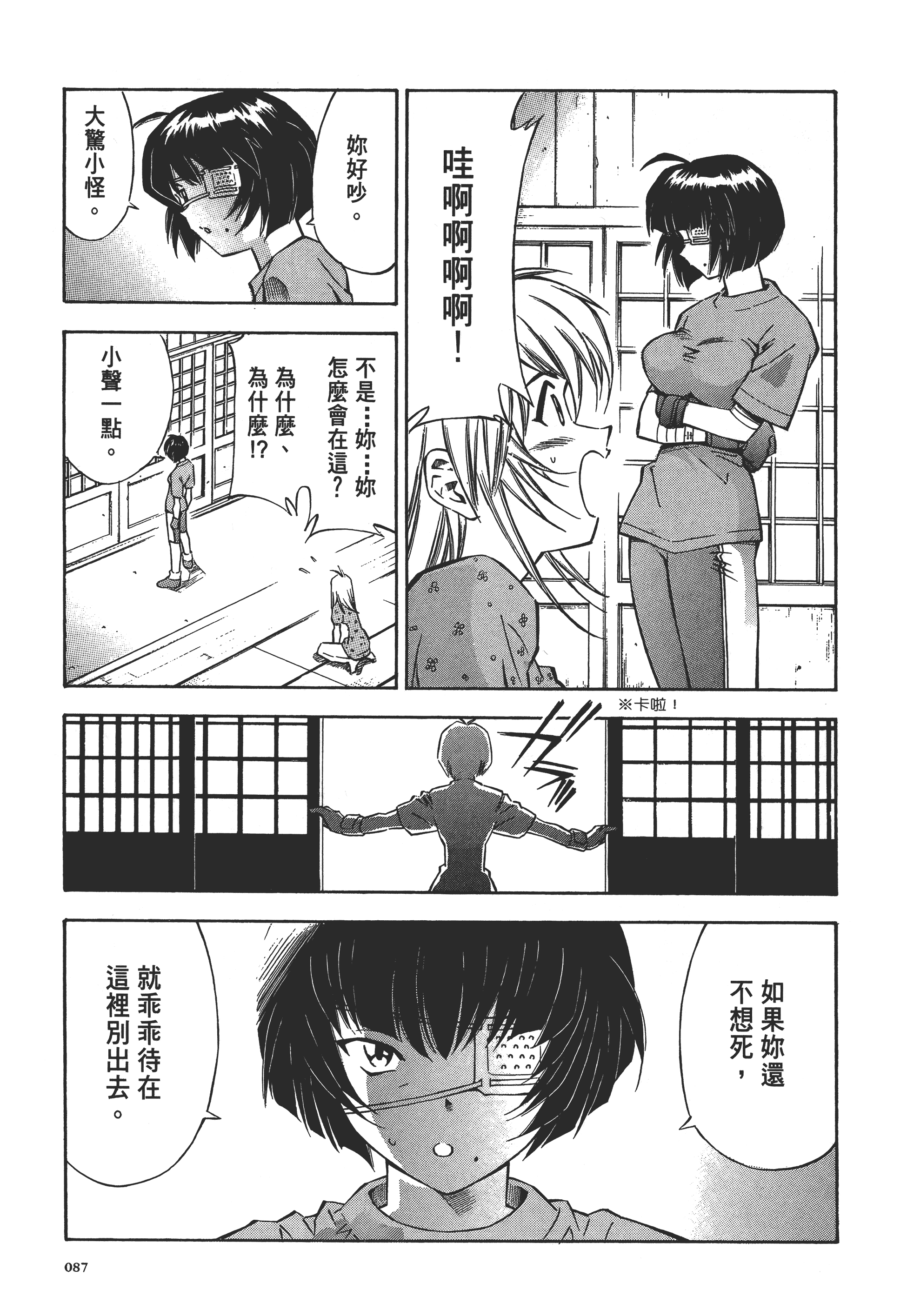 第 87 页