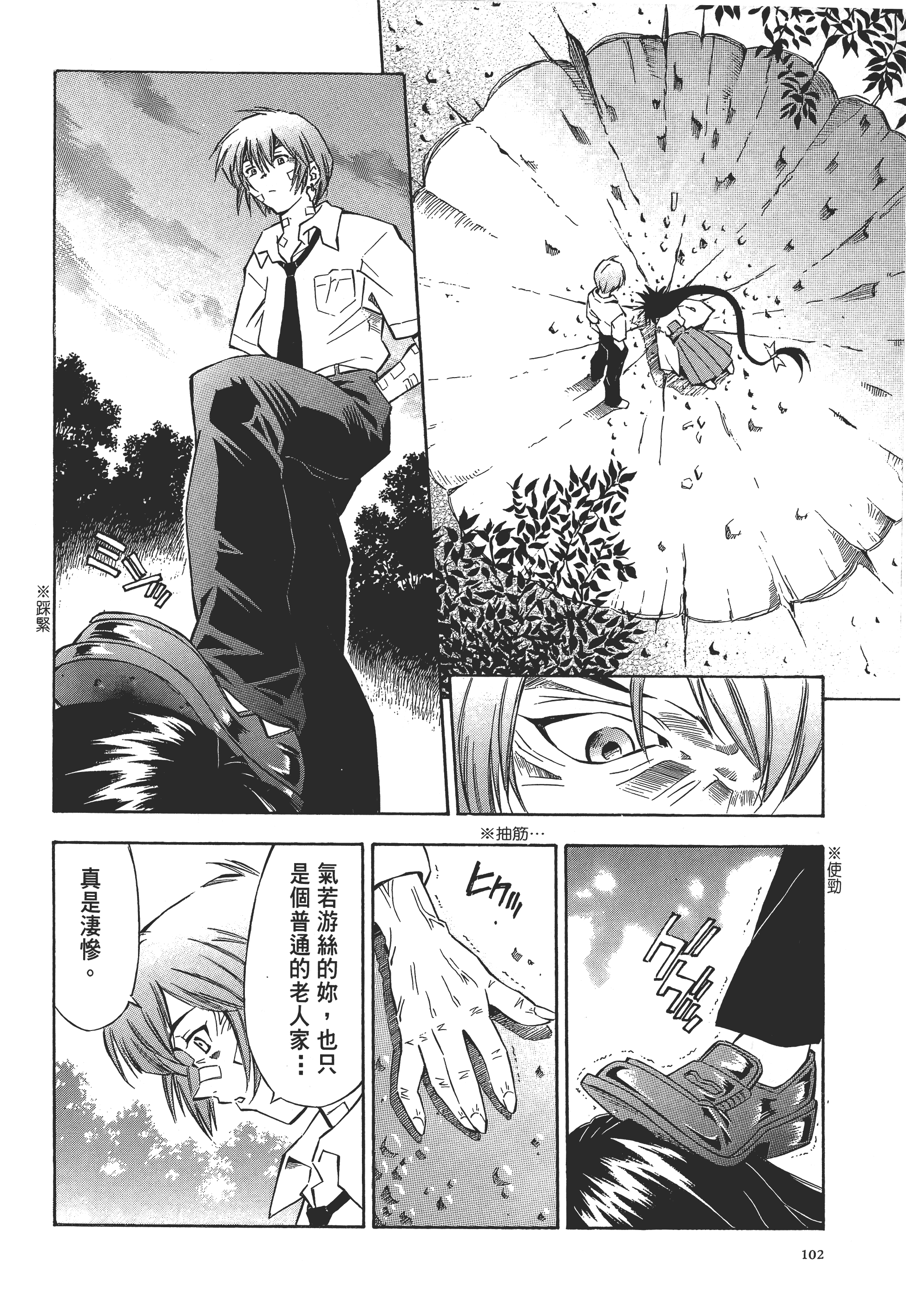 第 102 页