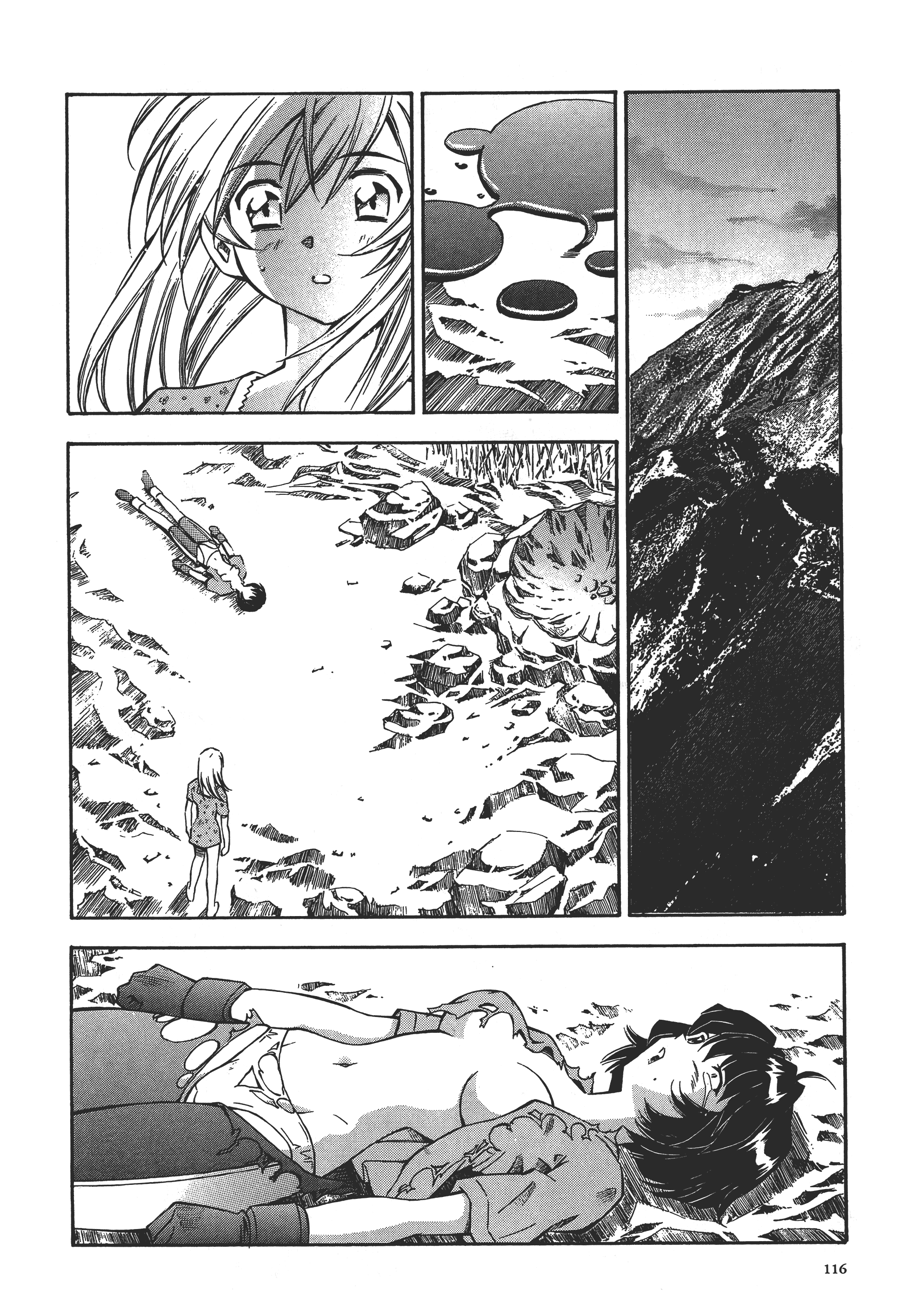 第 116 页