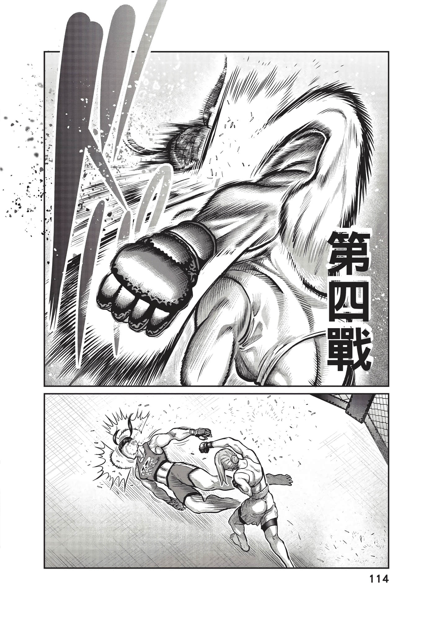 第 115 页