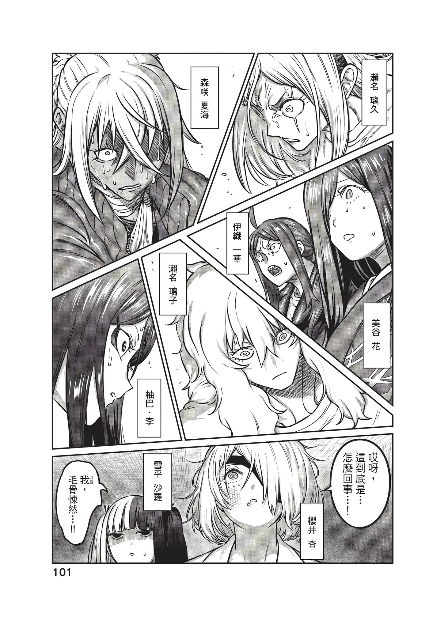 第 102 页