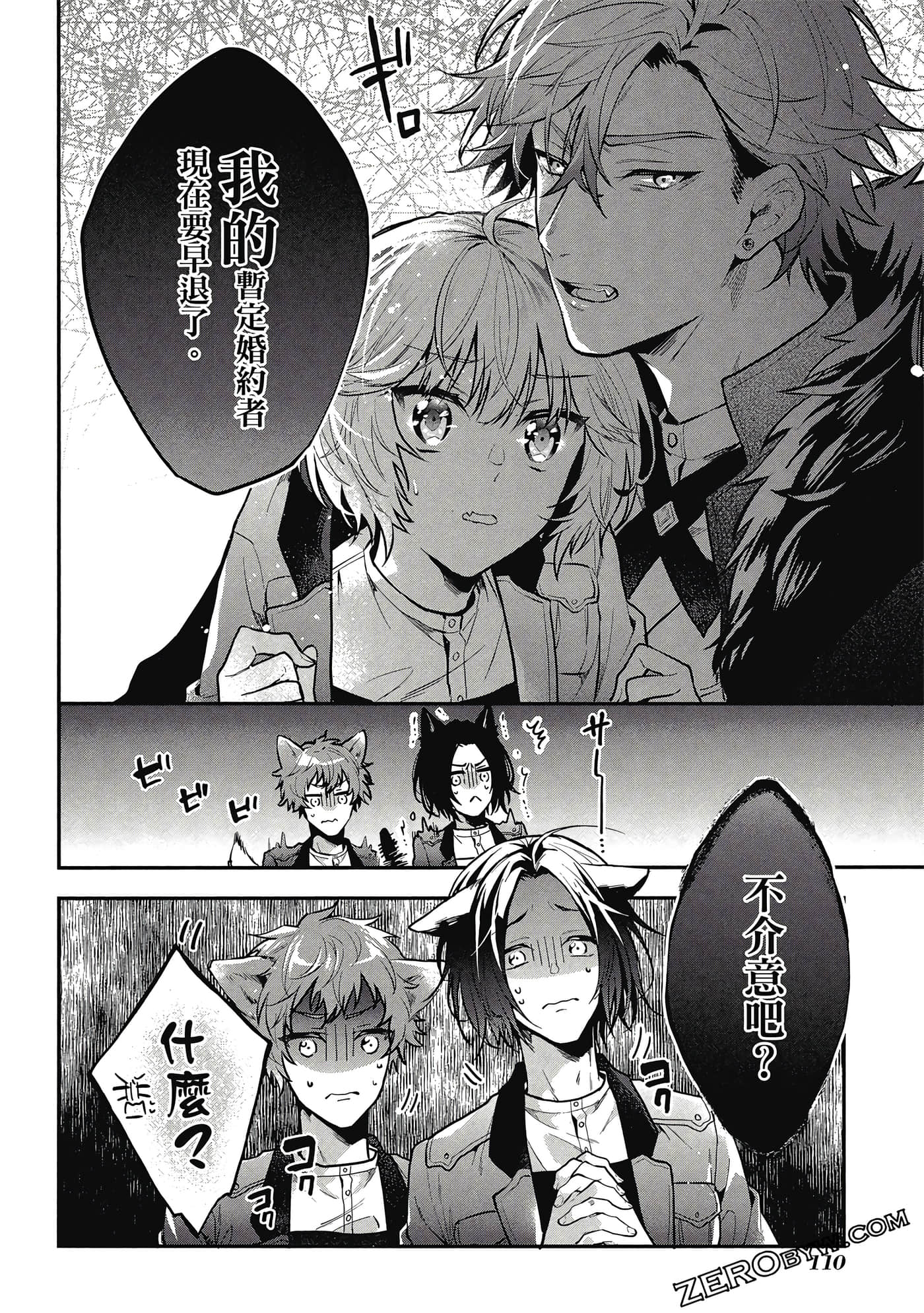 Page 111