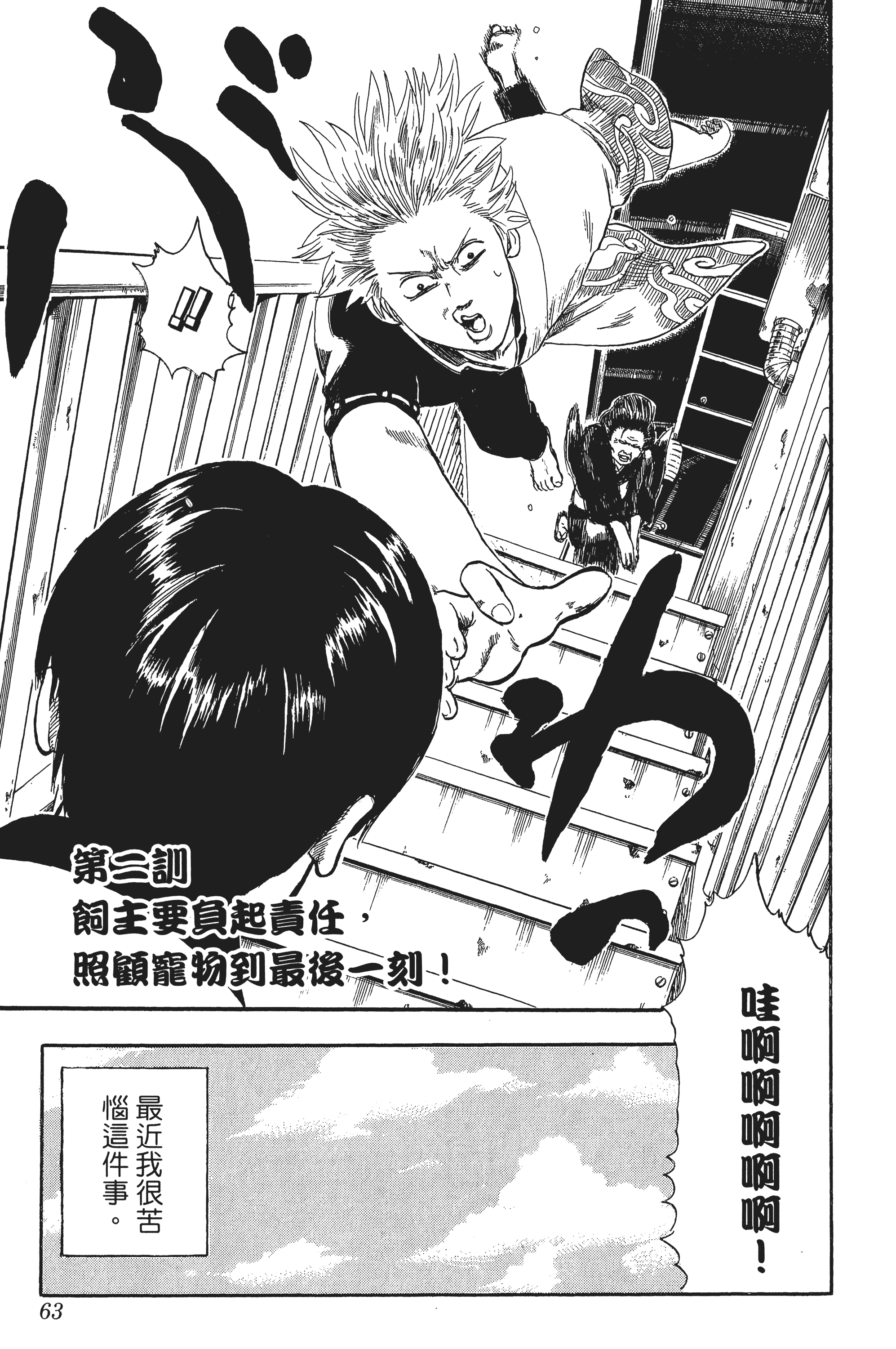 Page 63