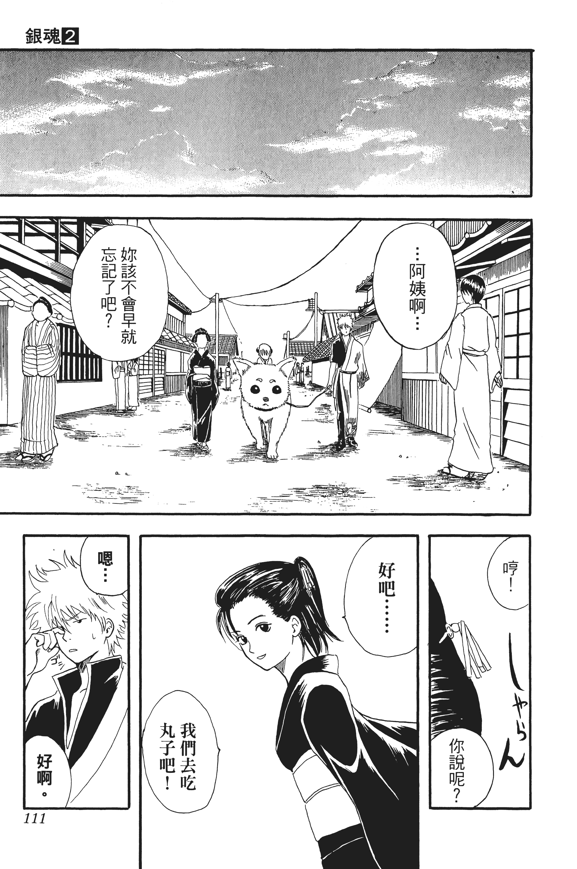 Page 111