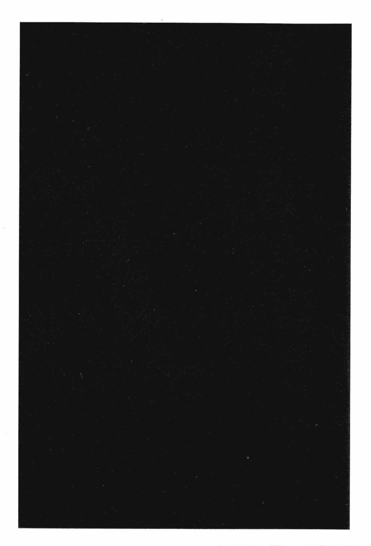 Page 217