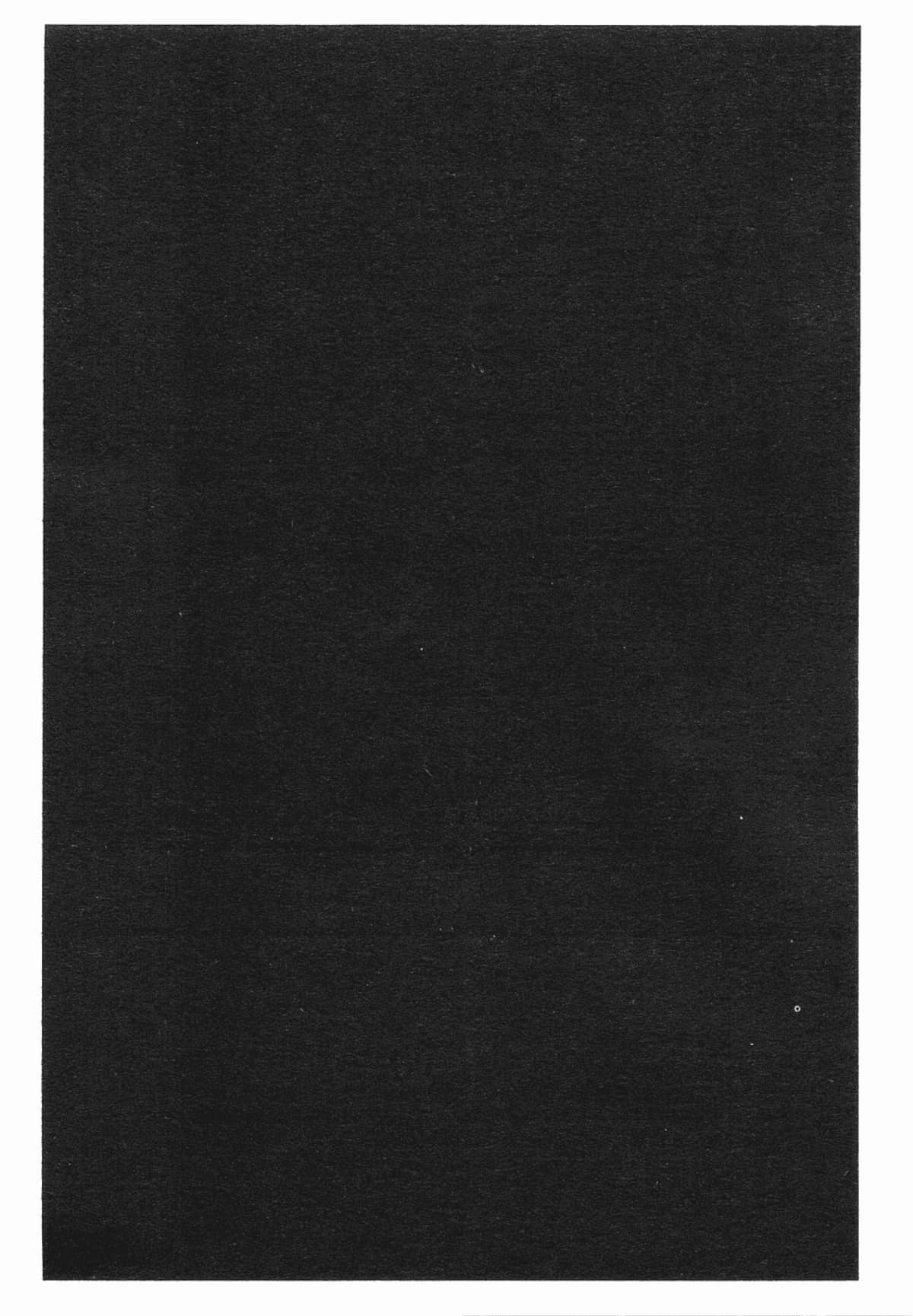 Page 225