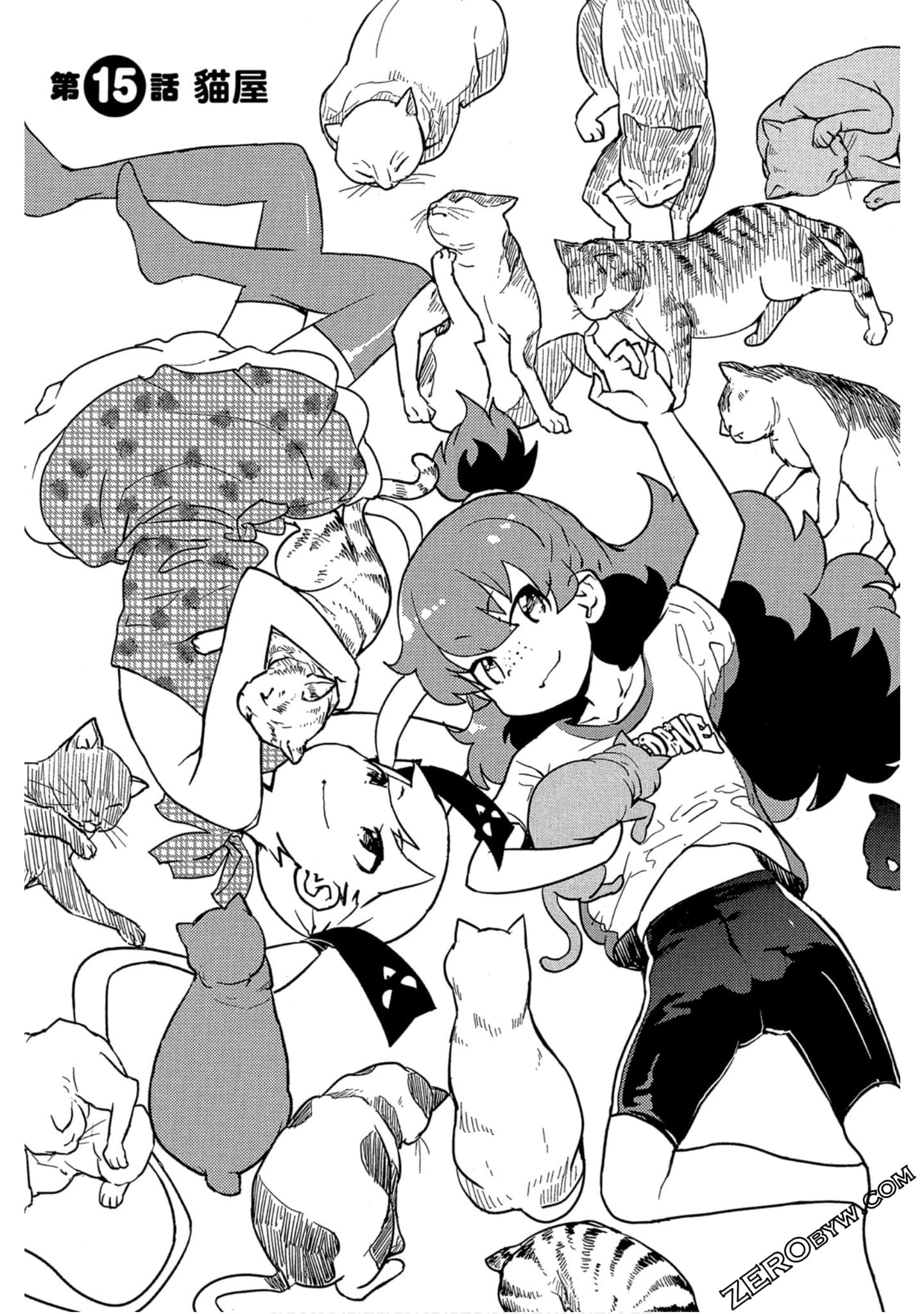 Page 54