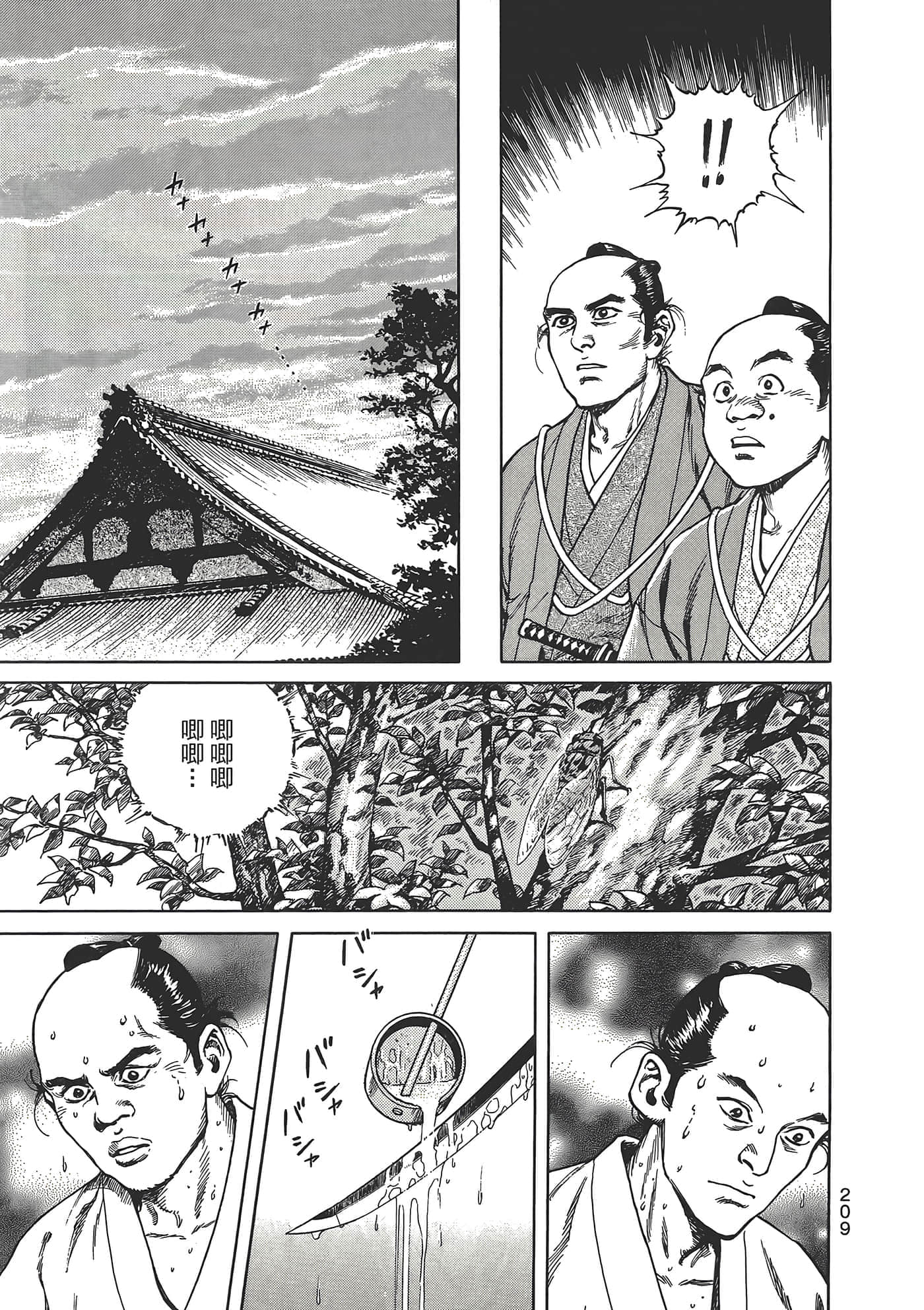 Page 213