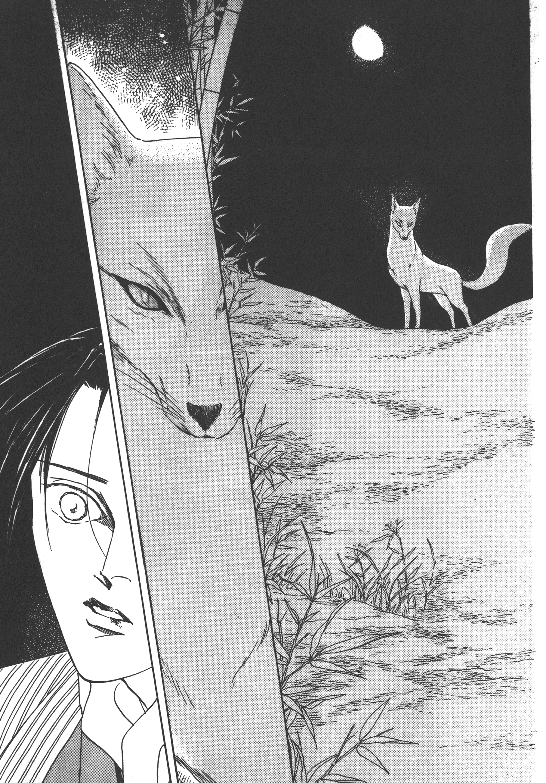 Page 239