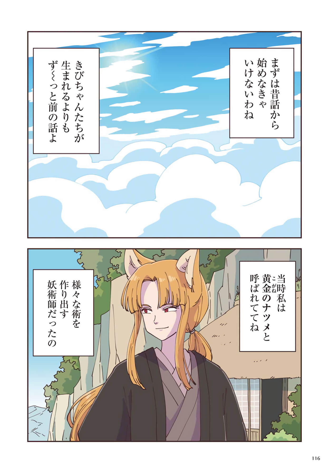 Page 117