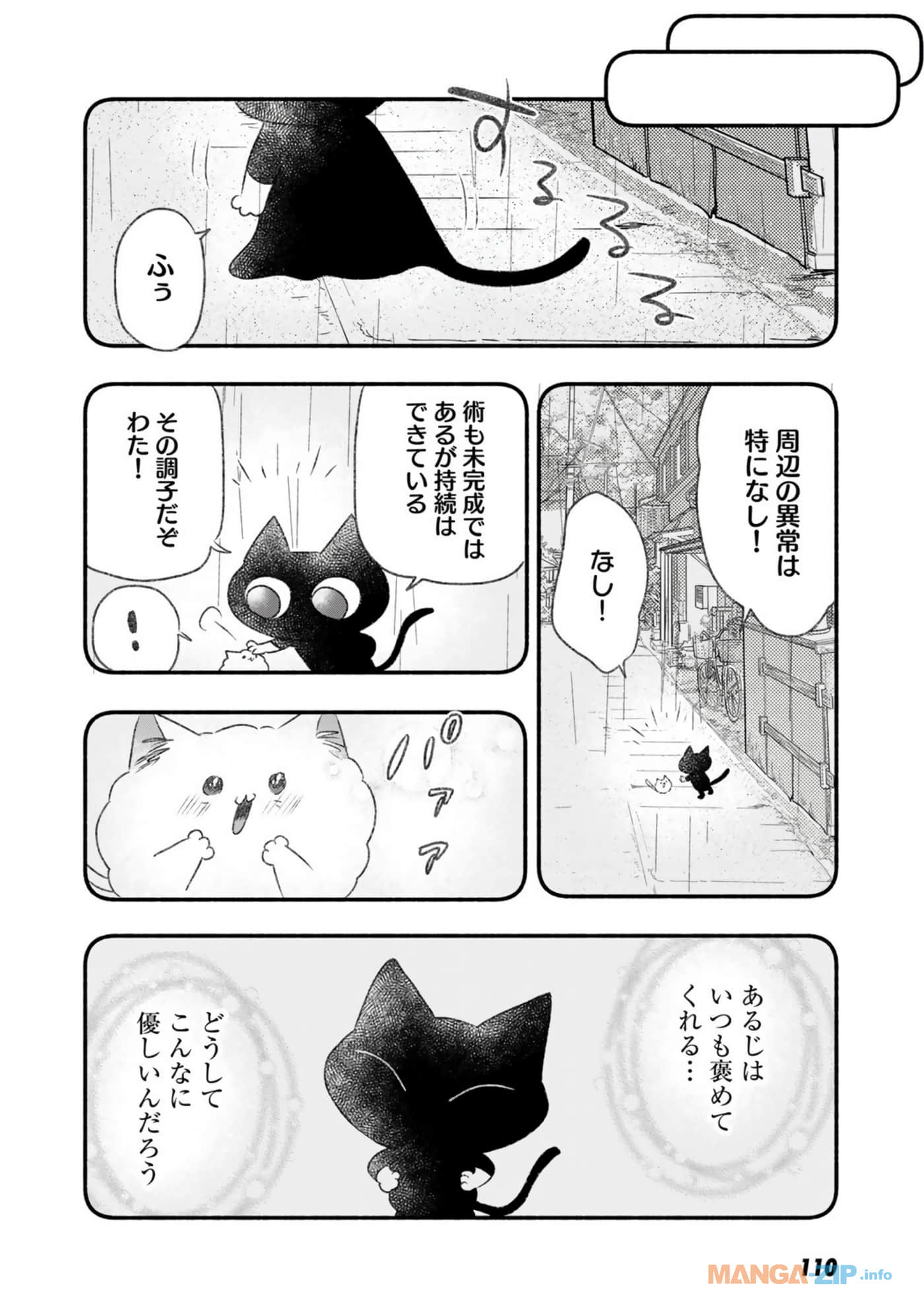 Page 111