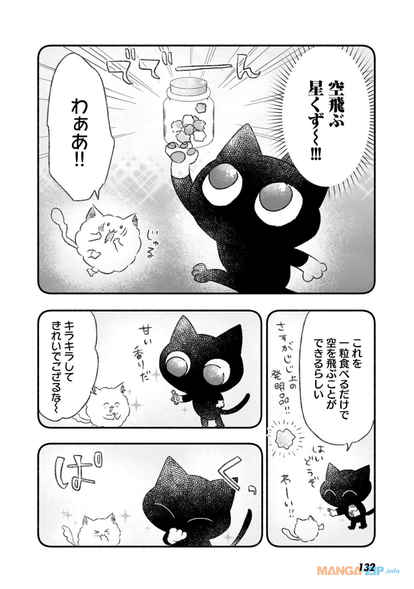 Page 133
