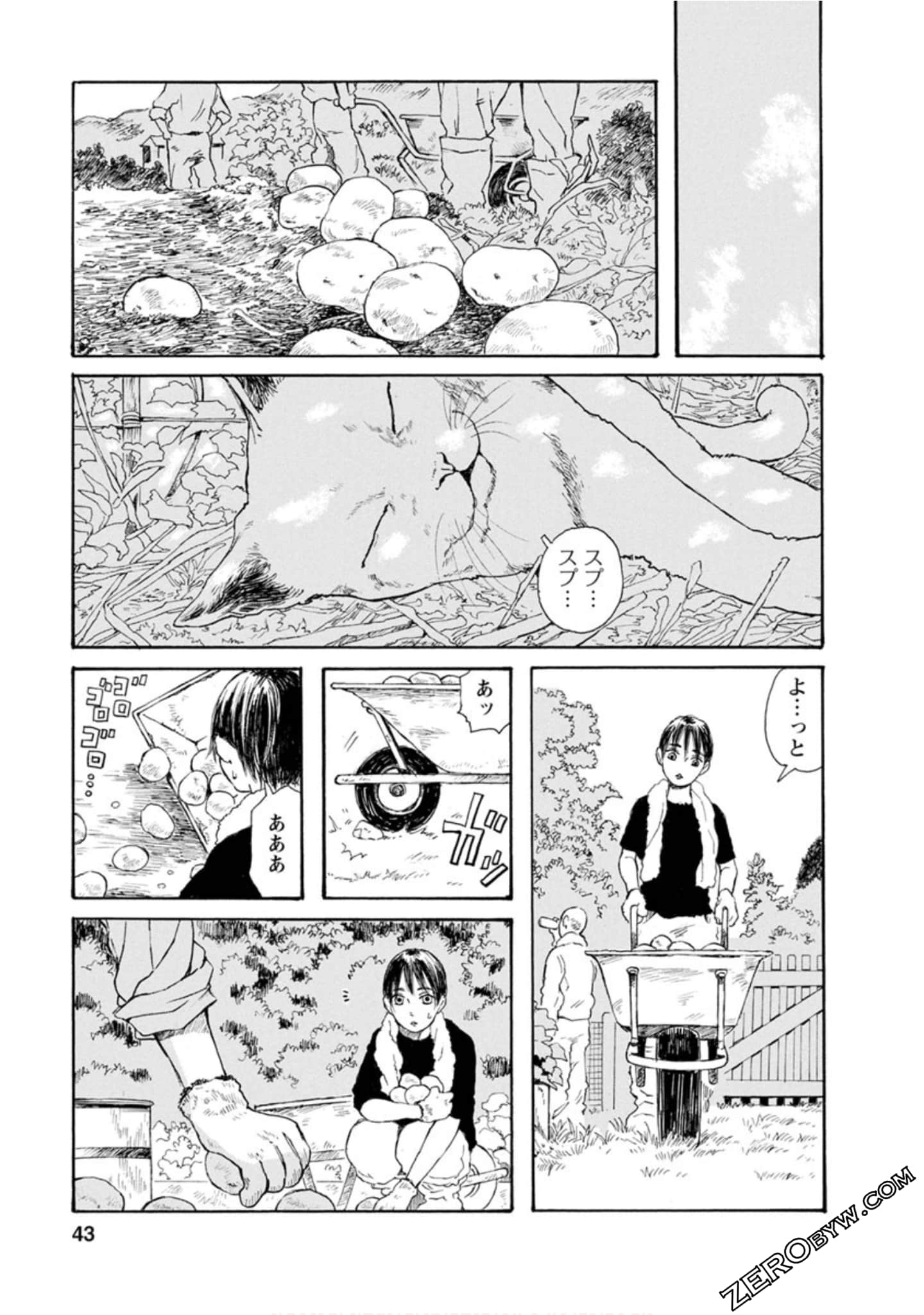 Page 44