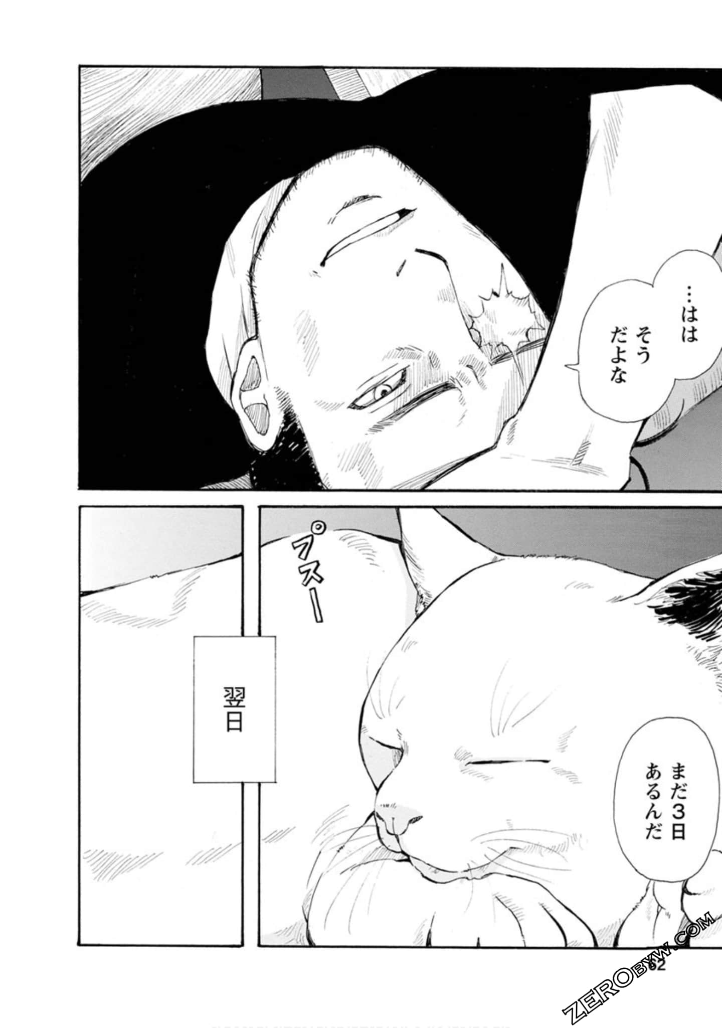 Page 63
