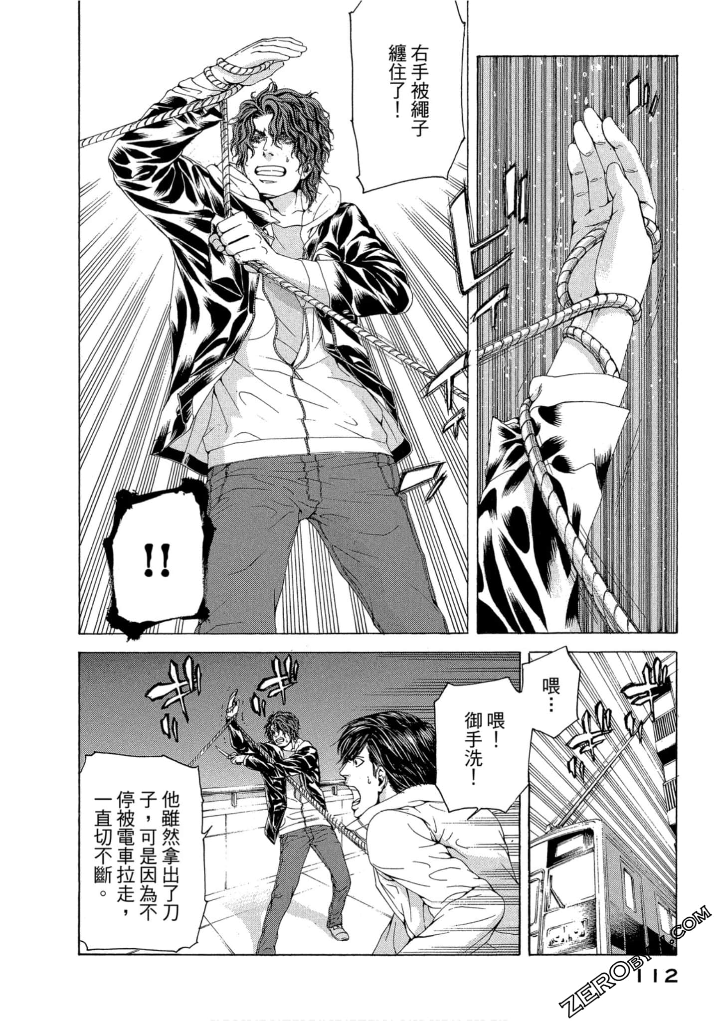 Page 113