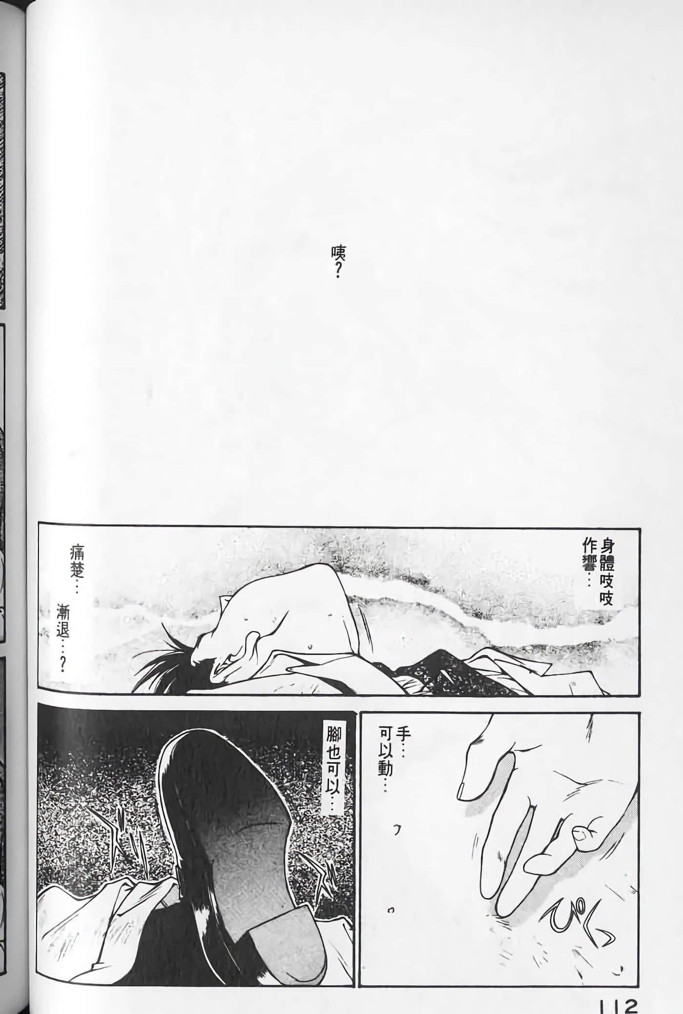 Page 113
