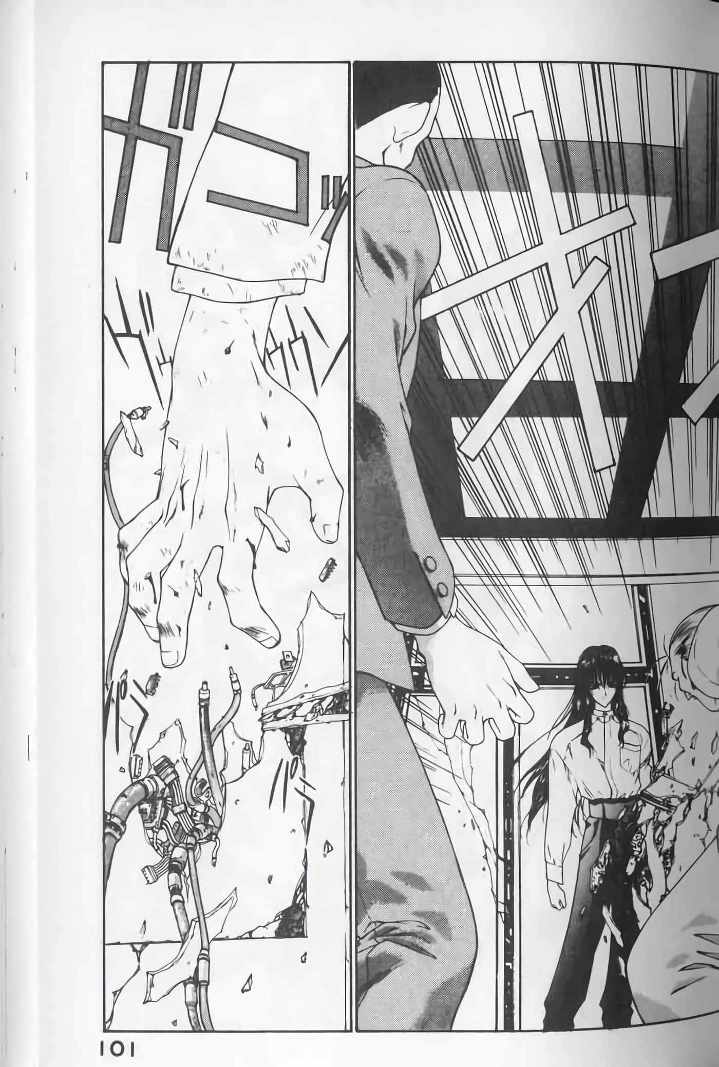 Page 101