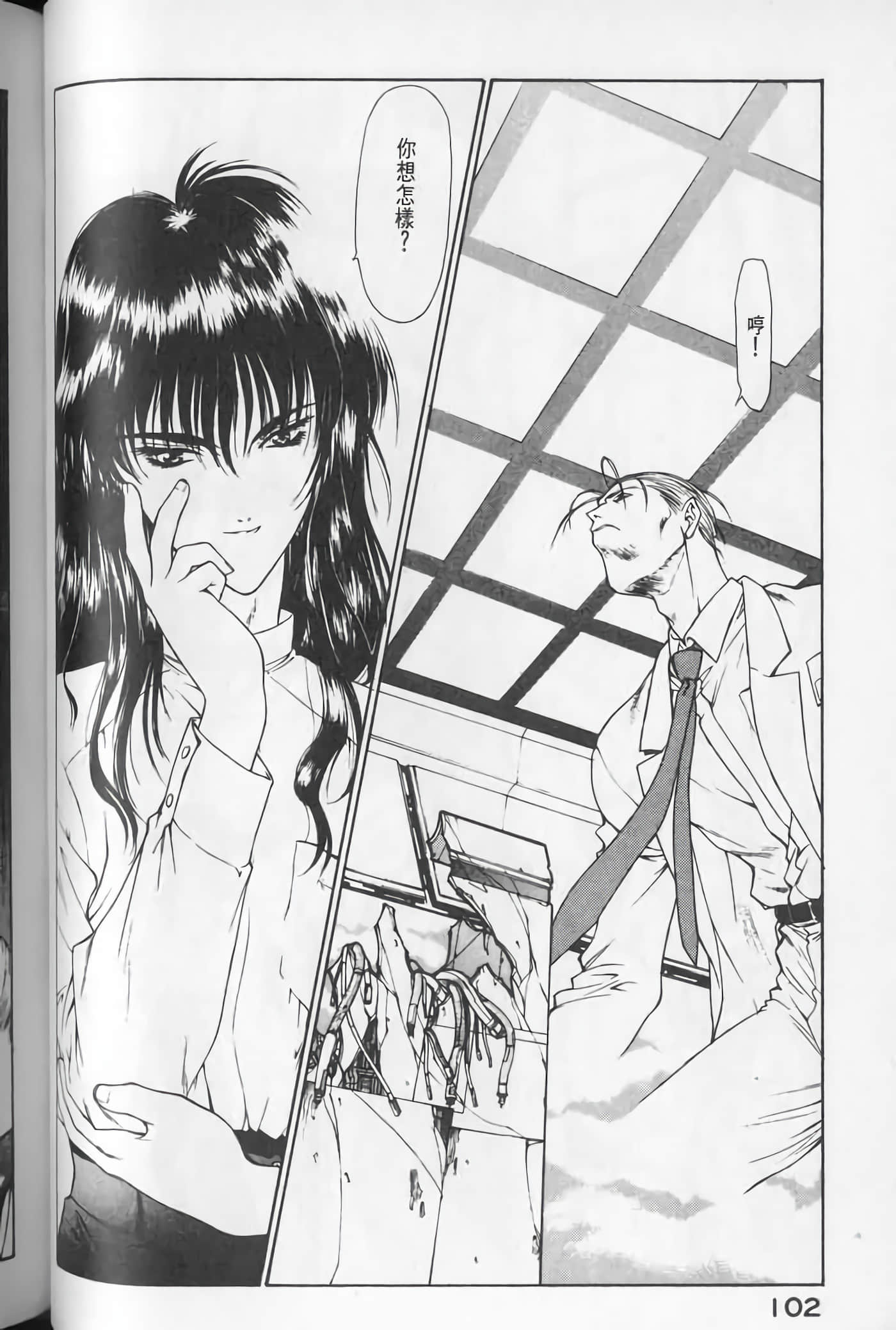 Page 102