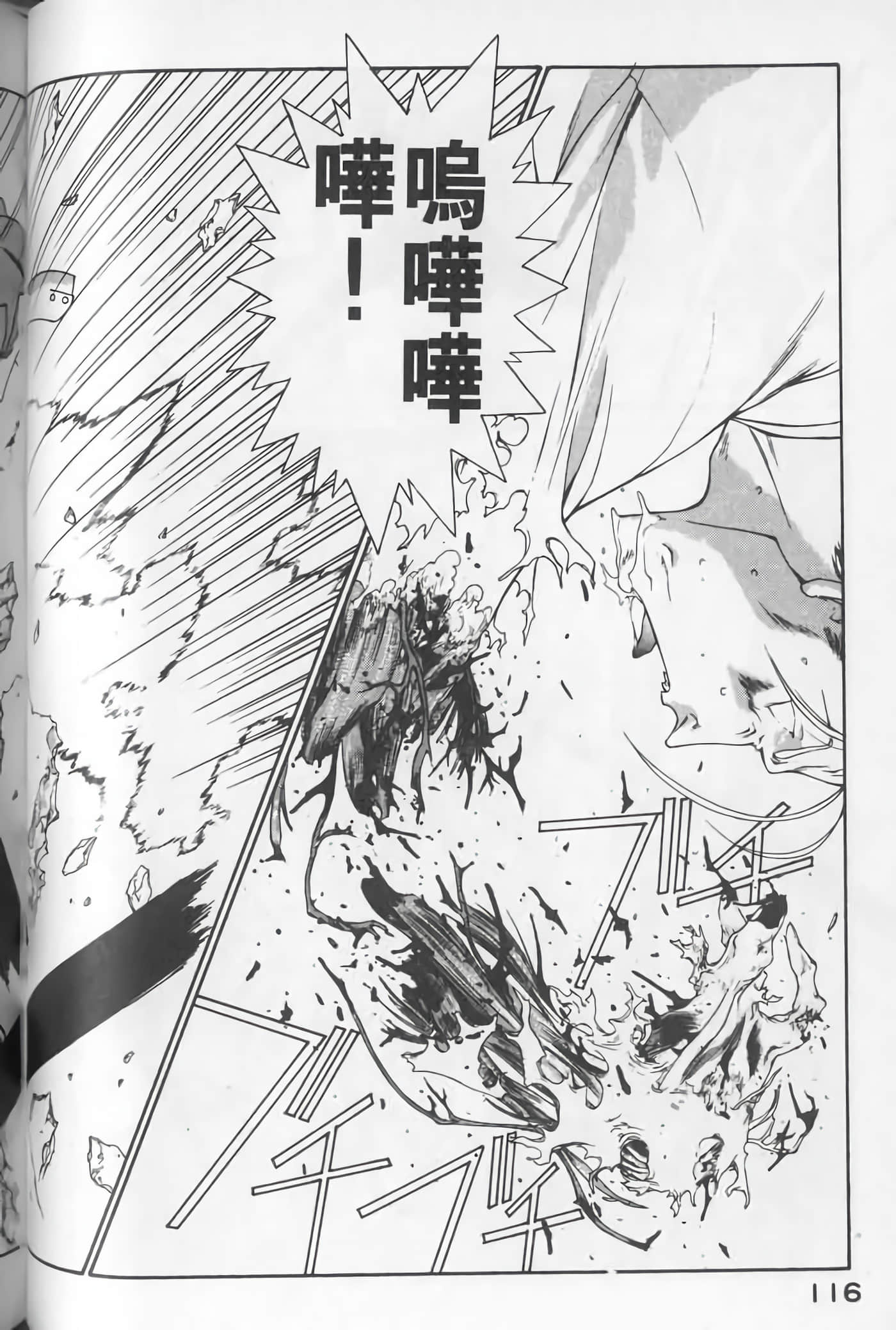 Page 116