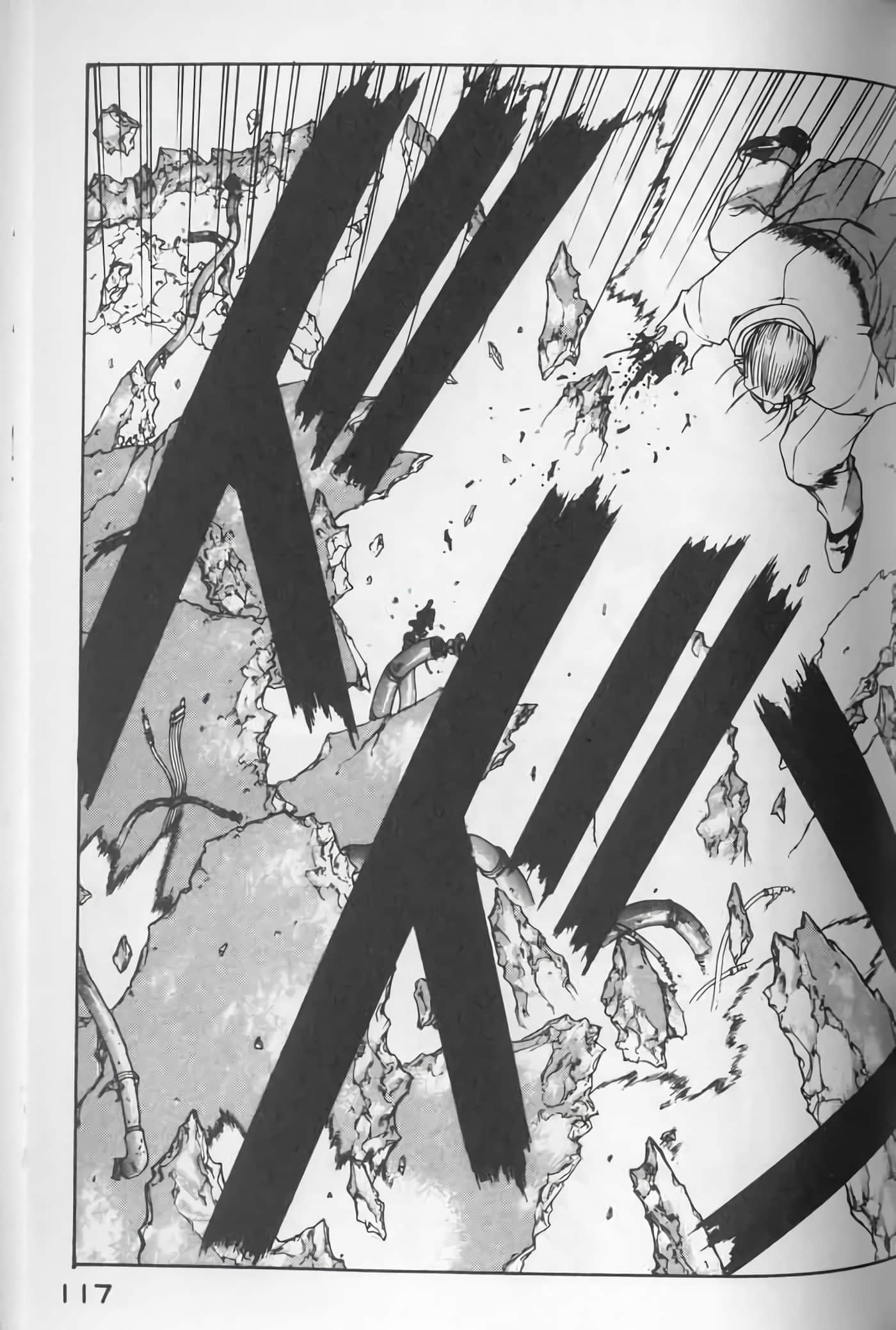 Page 117