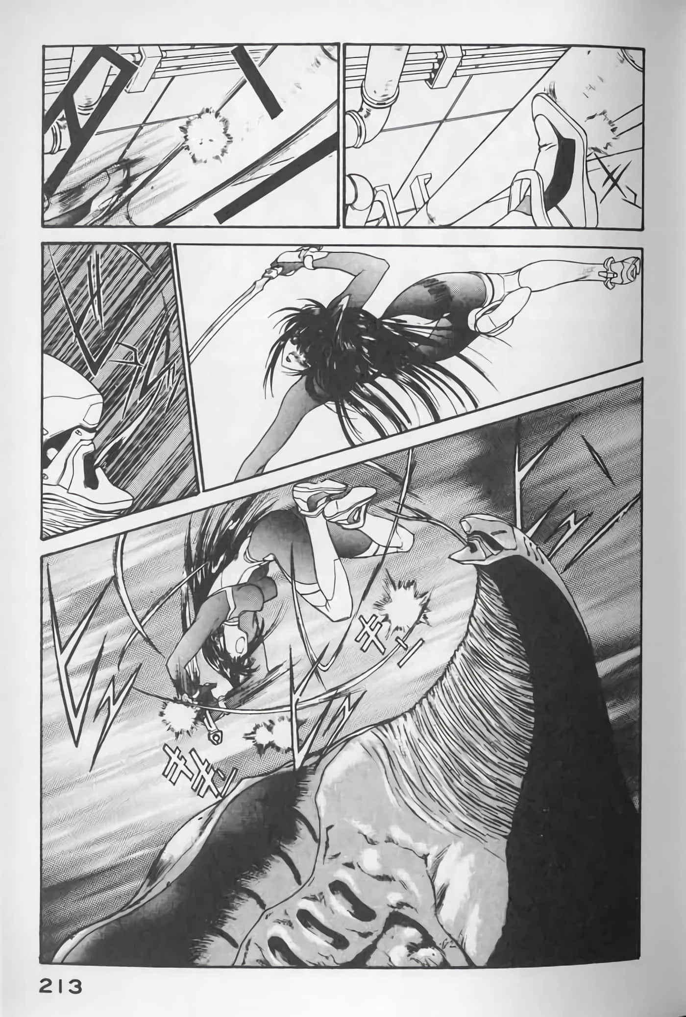 Page 213