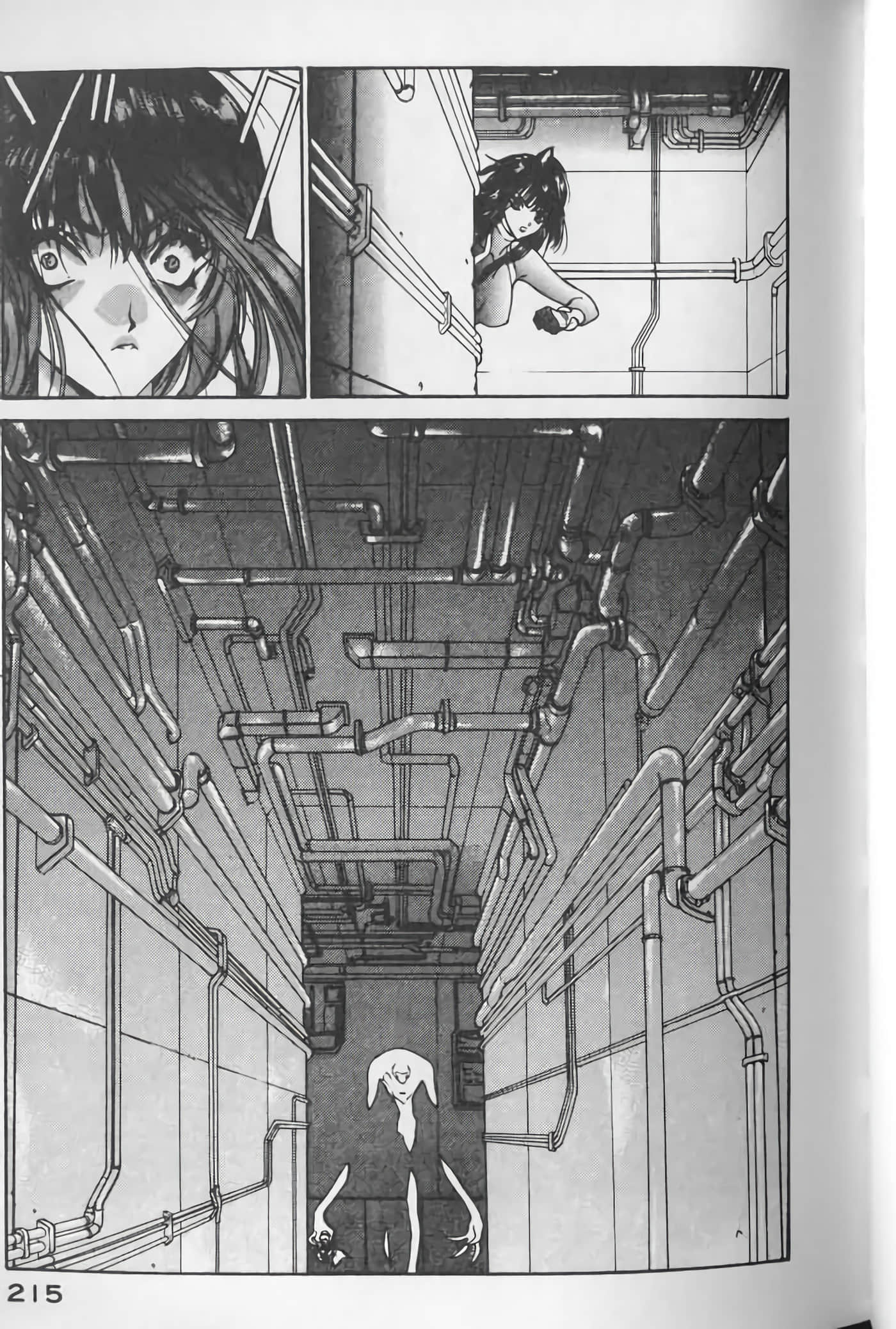 Page 215