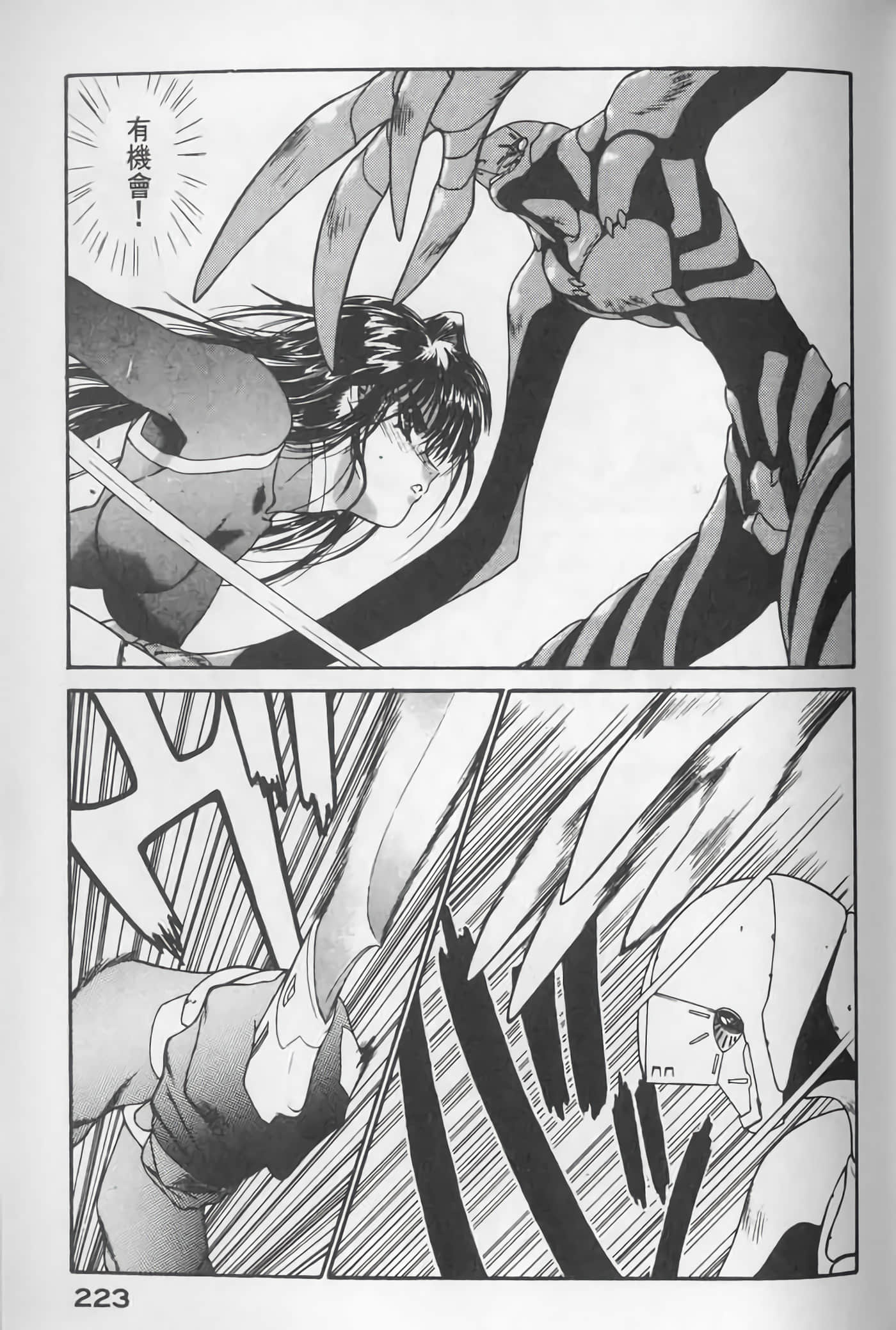 Page 223