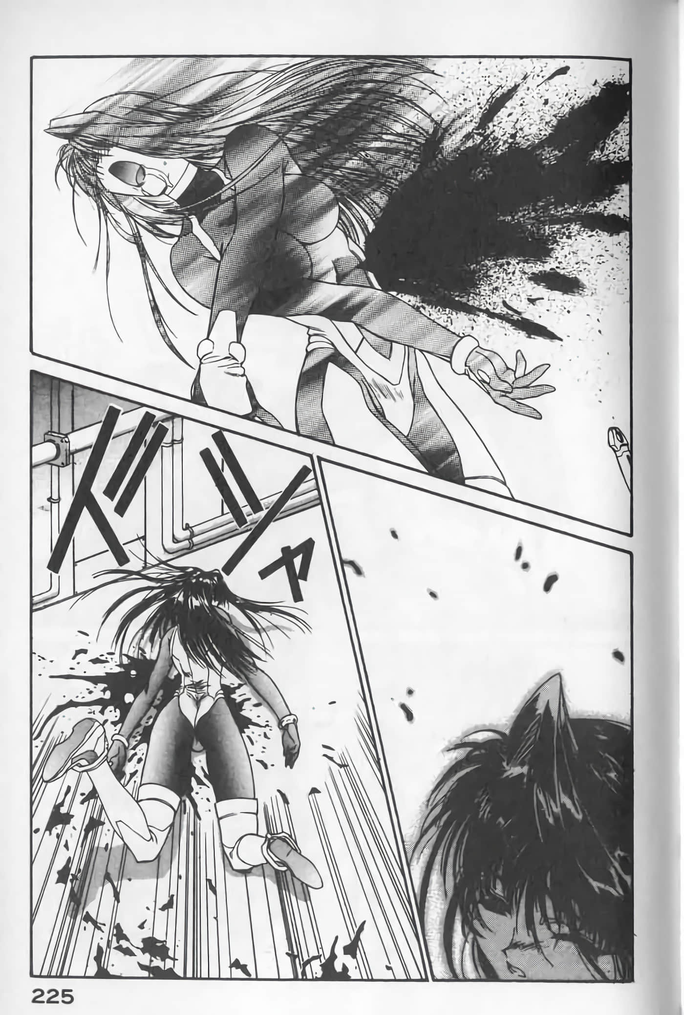 Page 225