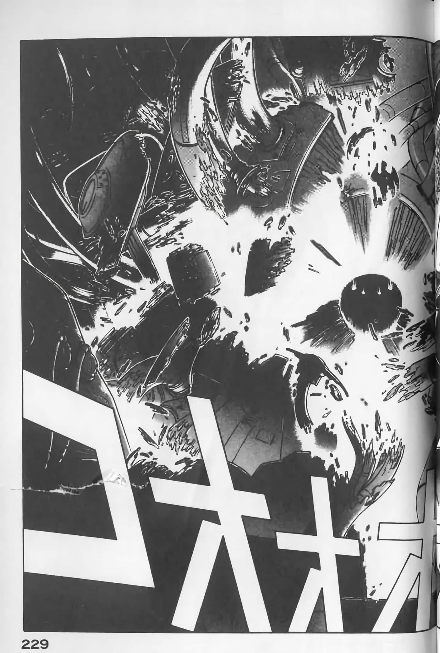 Page 229