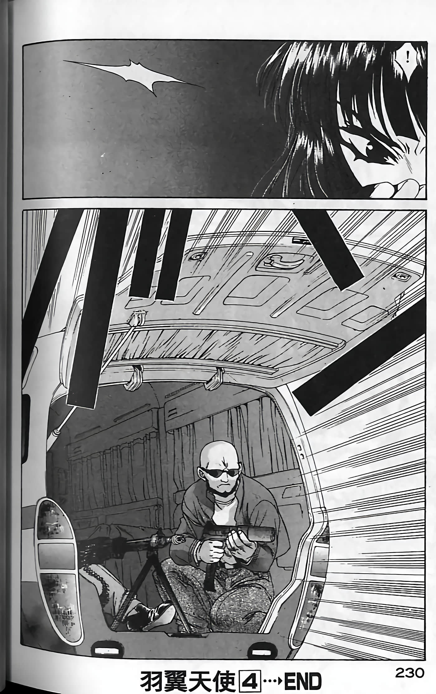Page 233