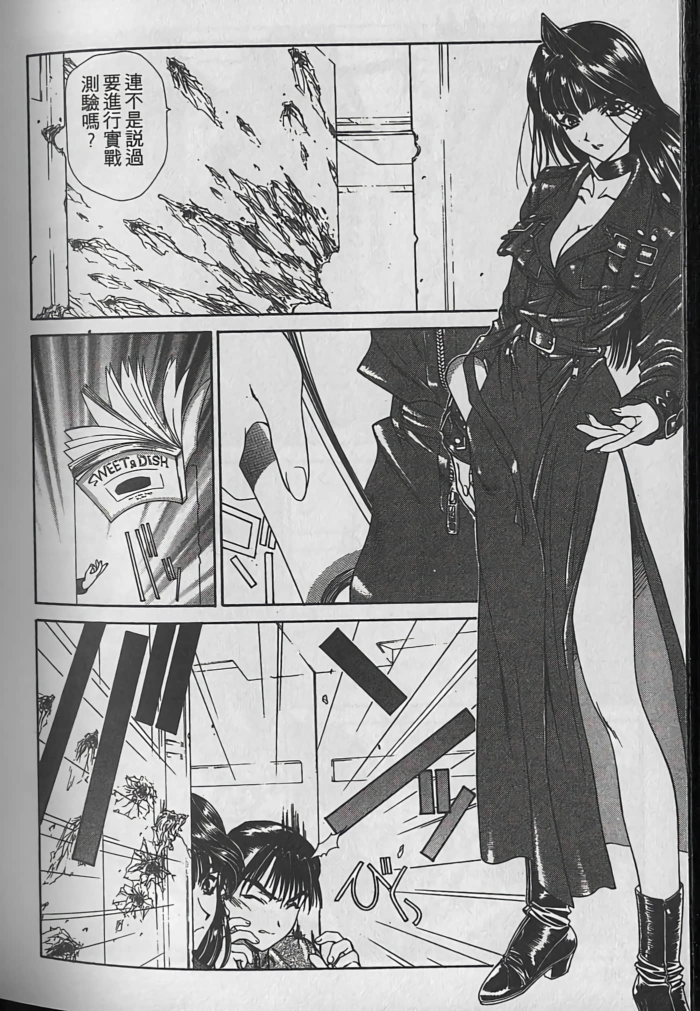 Page 231