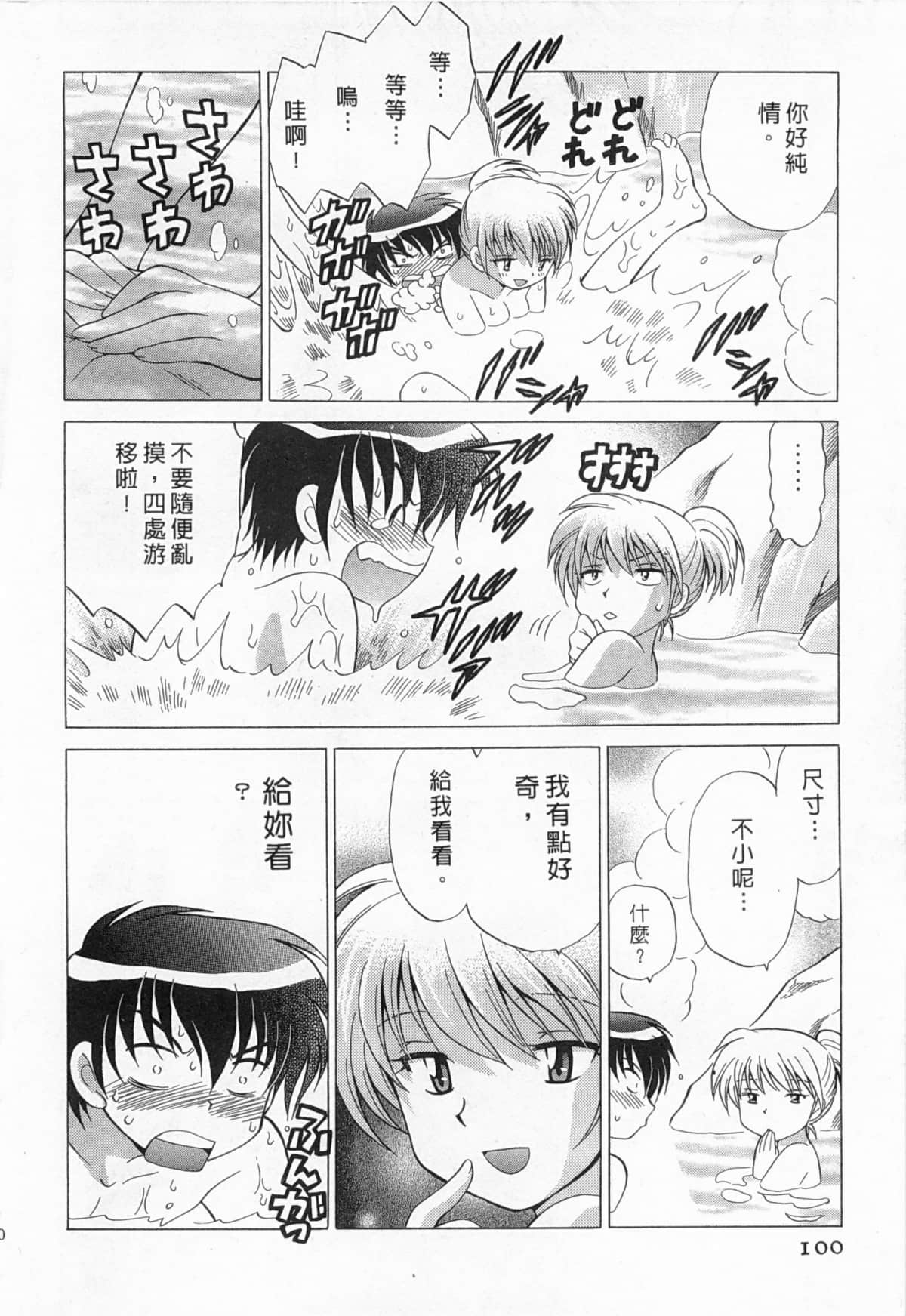 Page 101