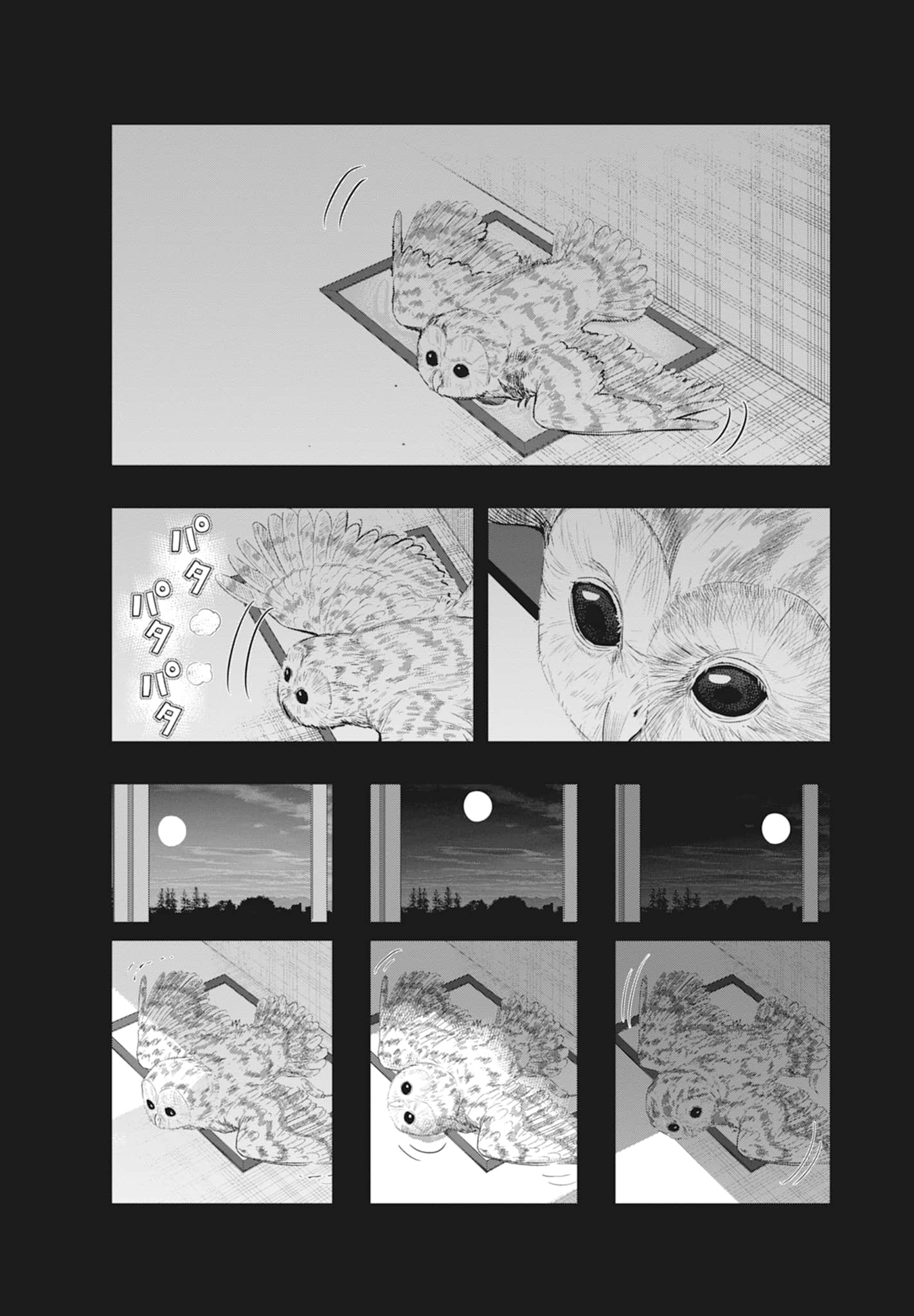 第 148 页