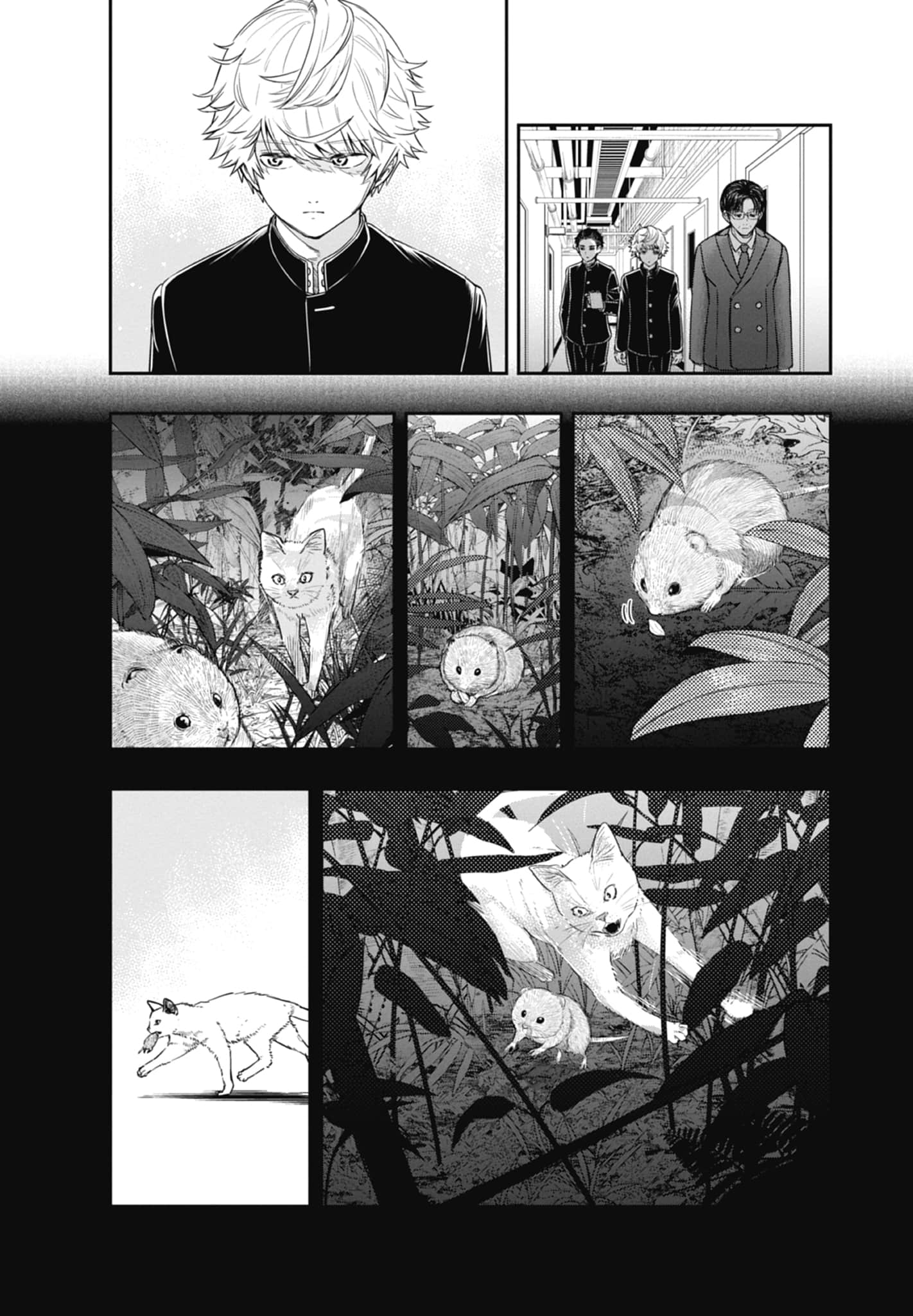 第 34 页