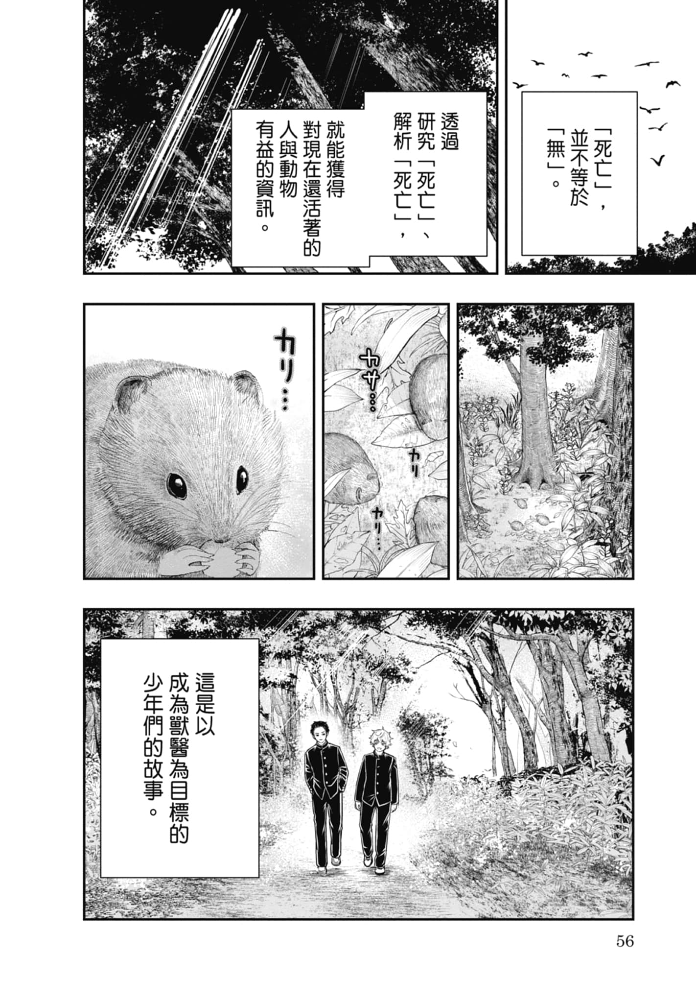 第 58 页