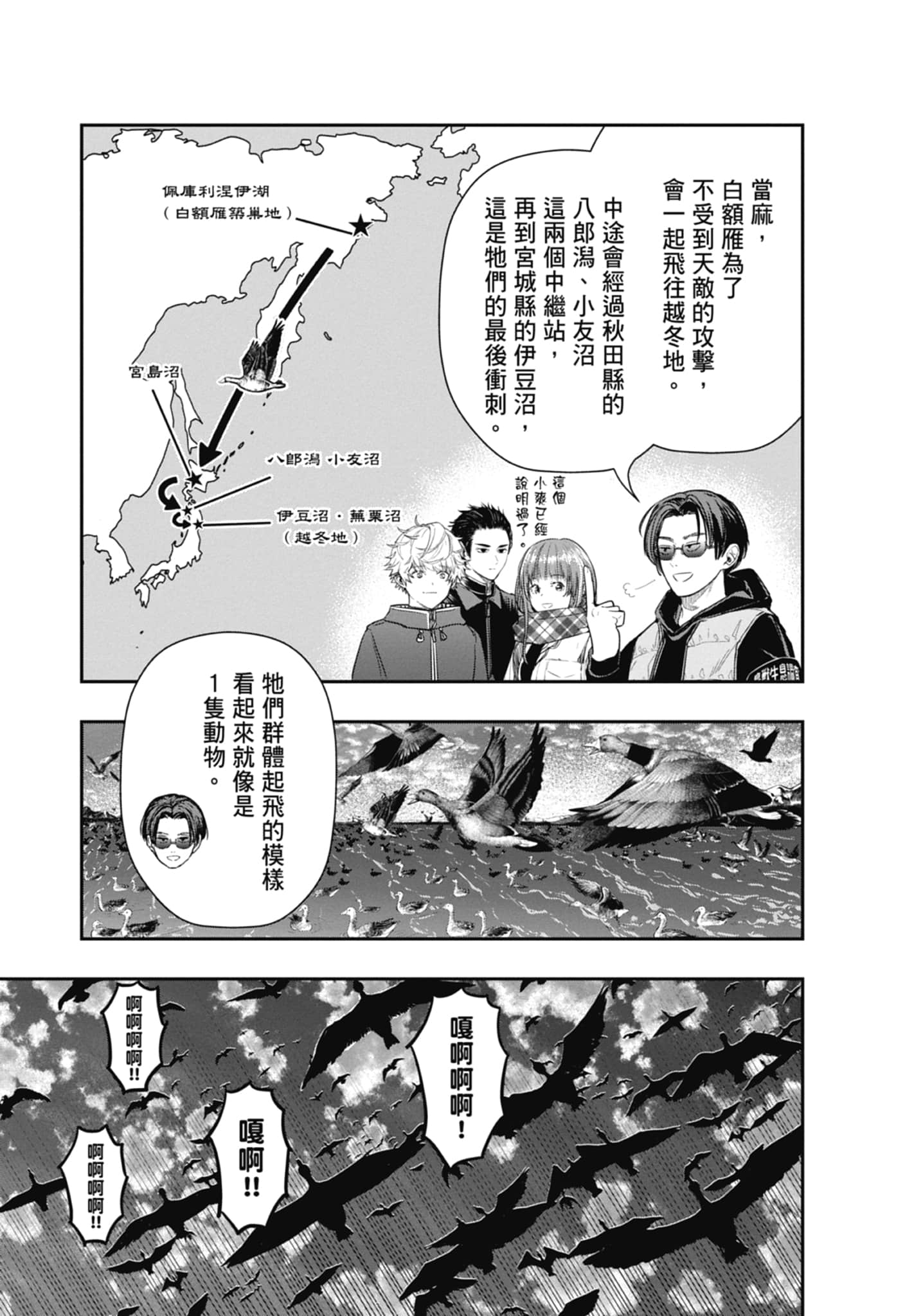 第 81 页