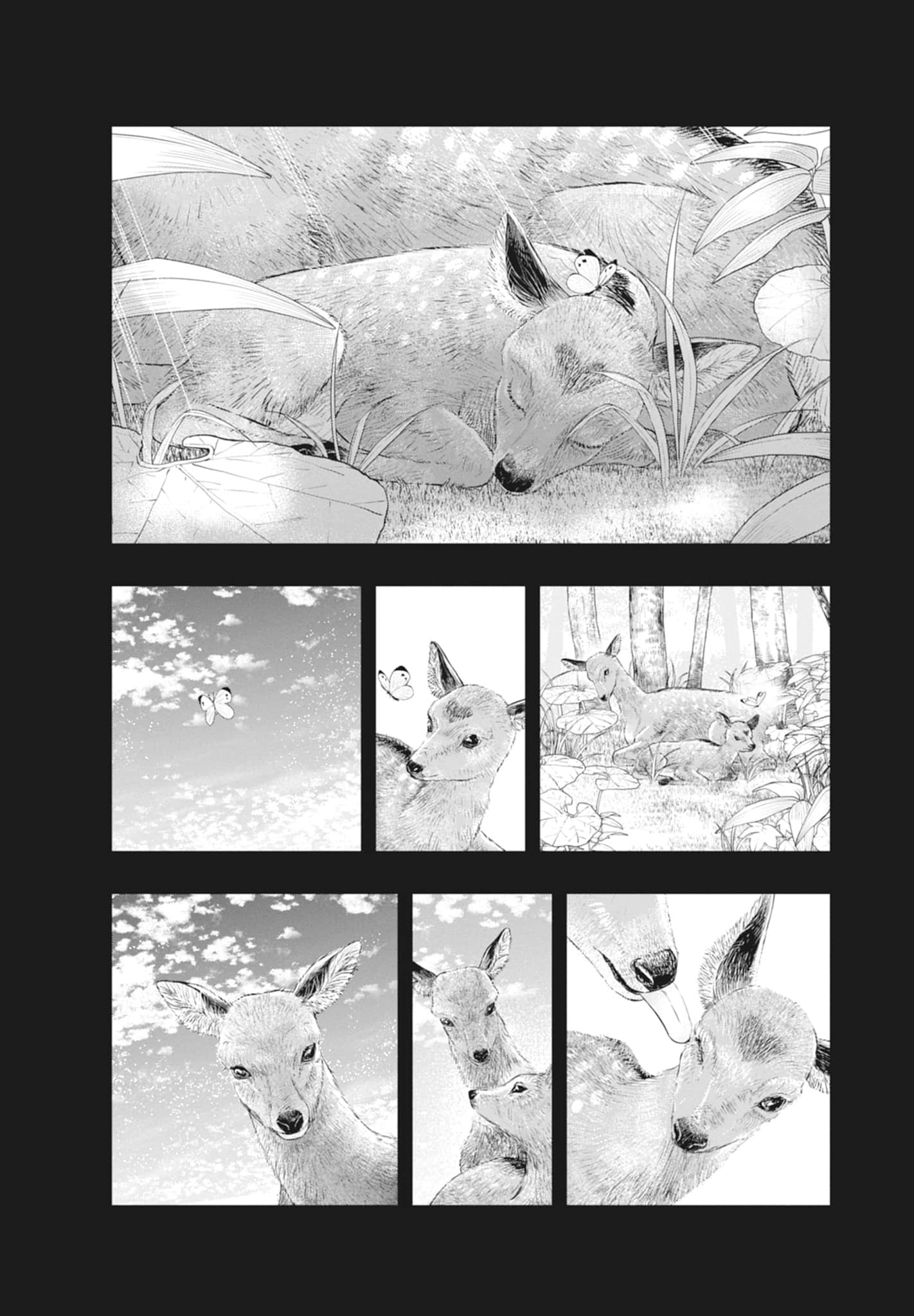 第 68 页