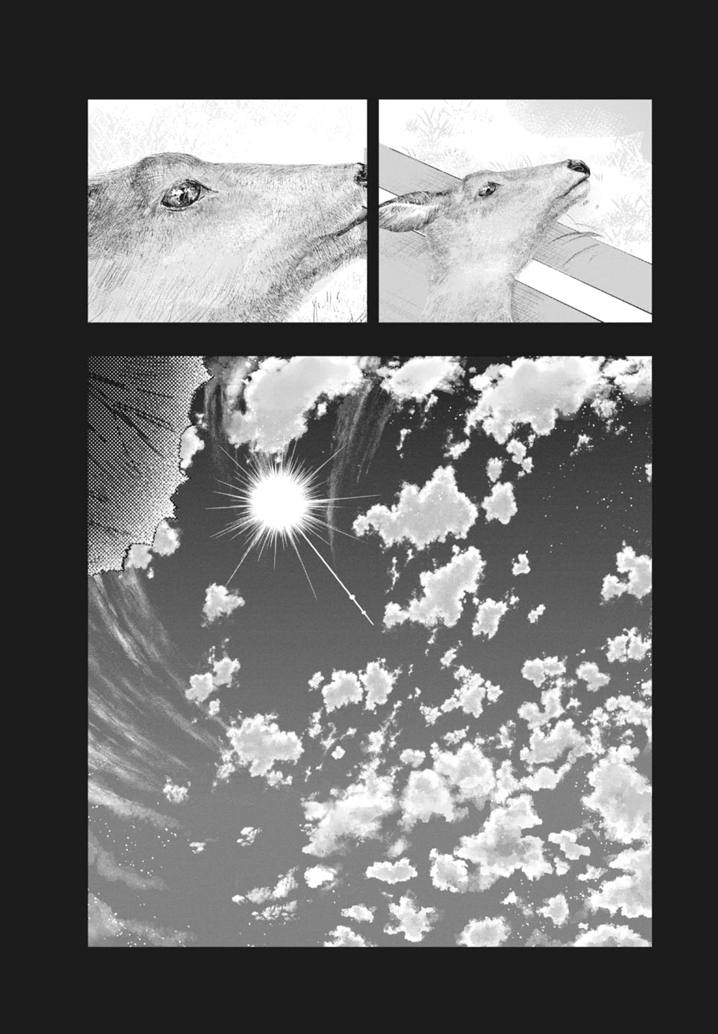 第 74 页