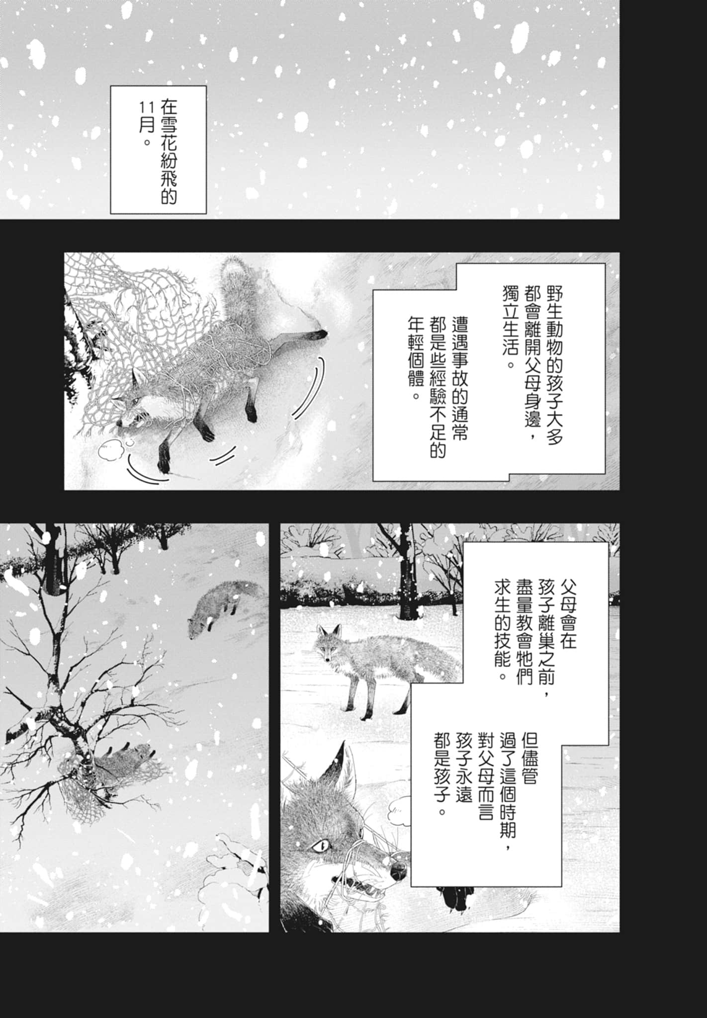 第 117 页