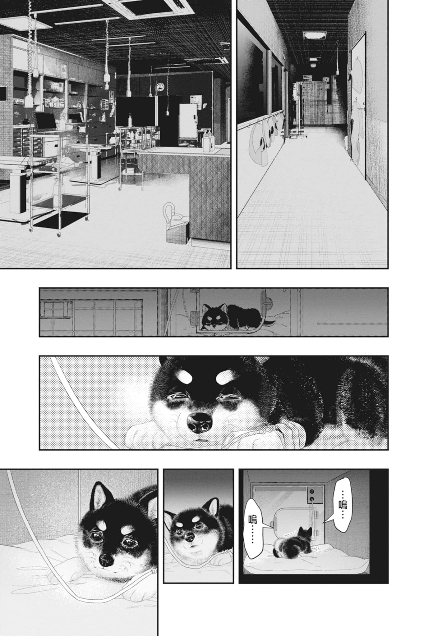 第 181 页