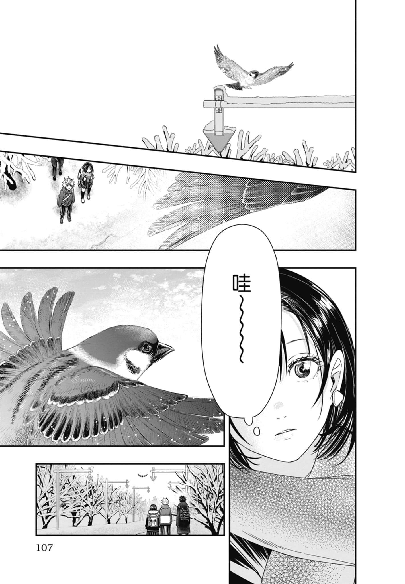 第 109 页