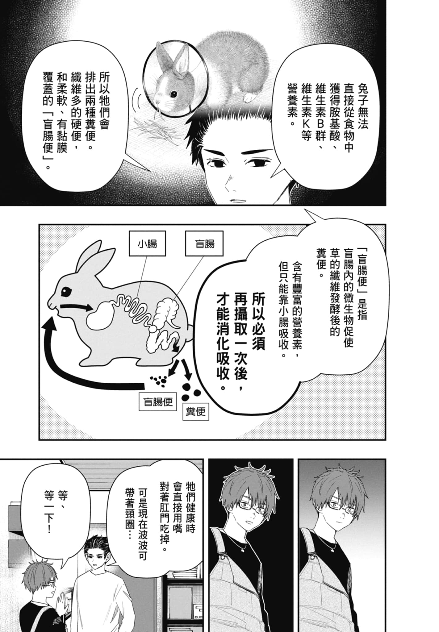 第 125 页