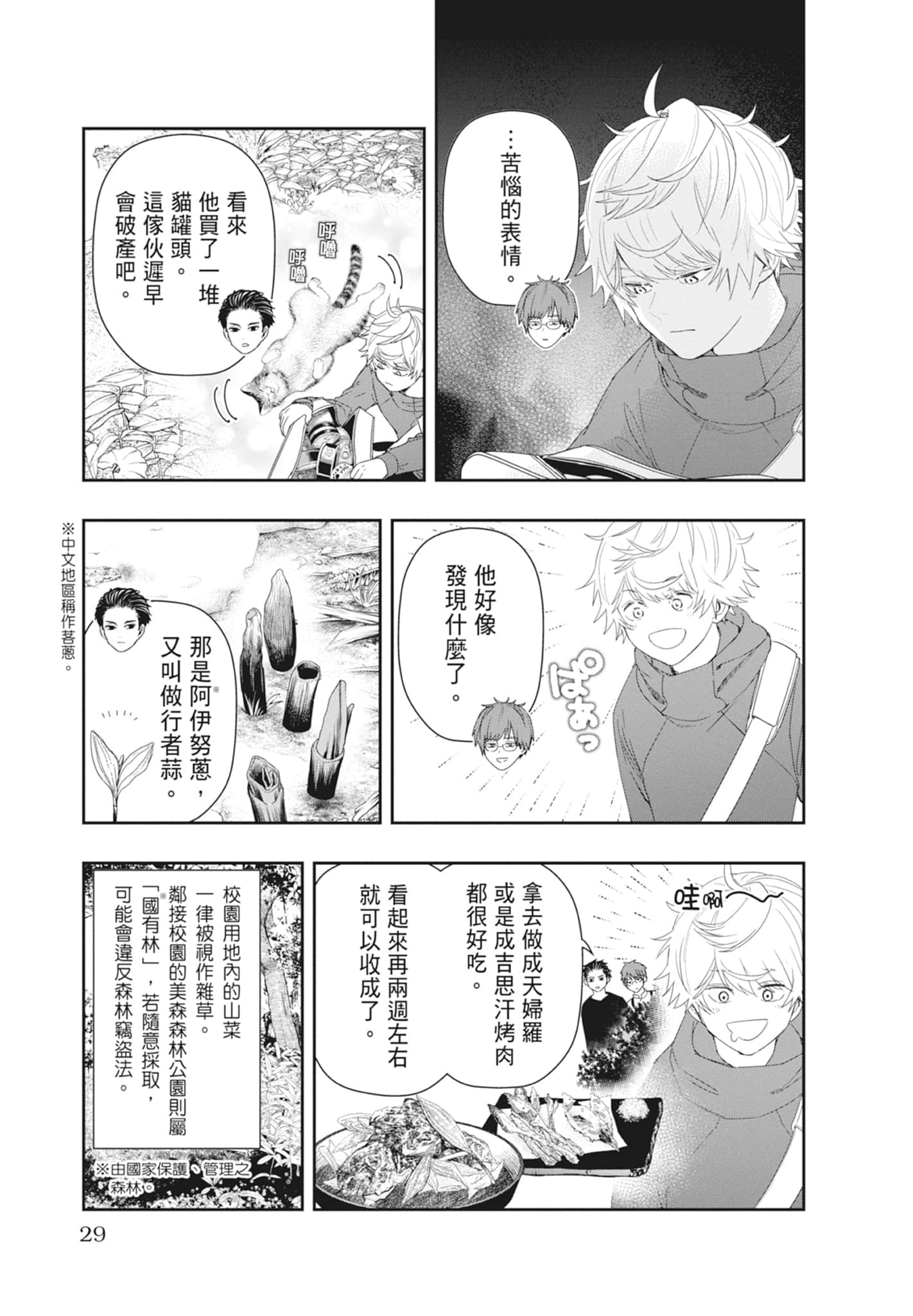 第 31 页