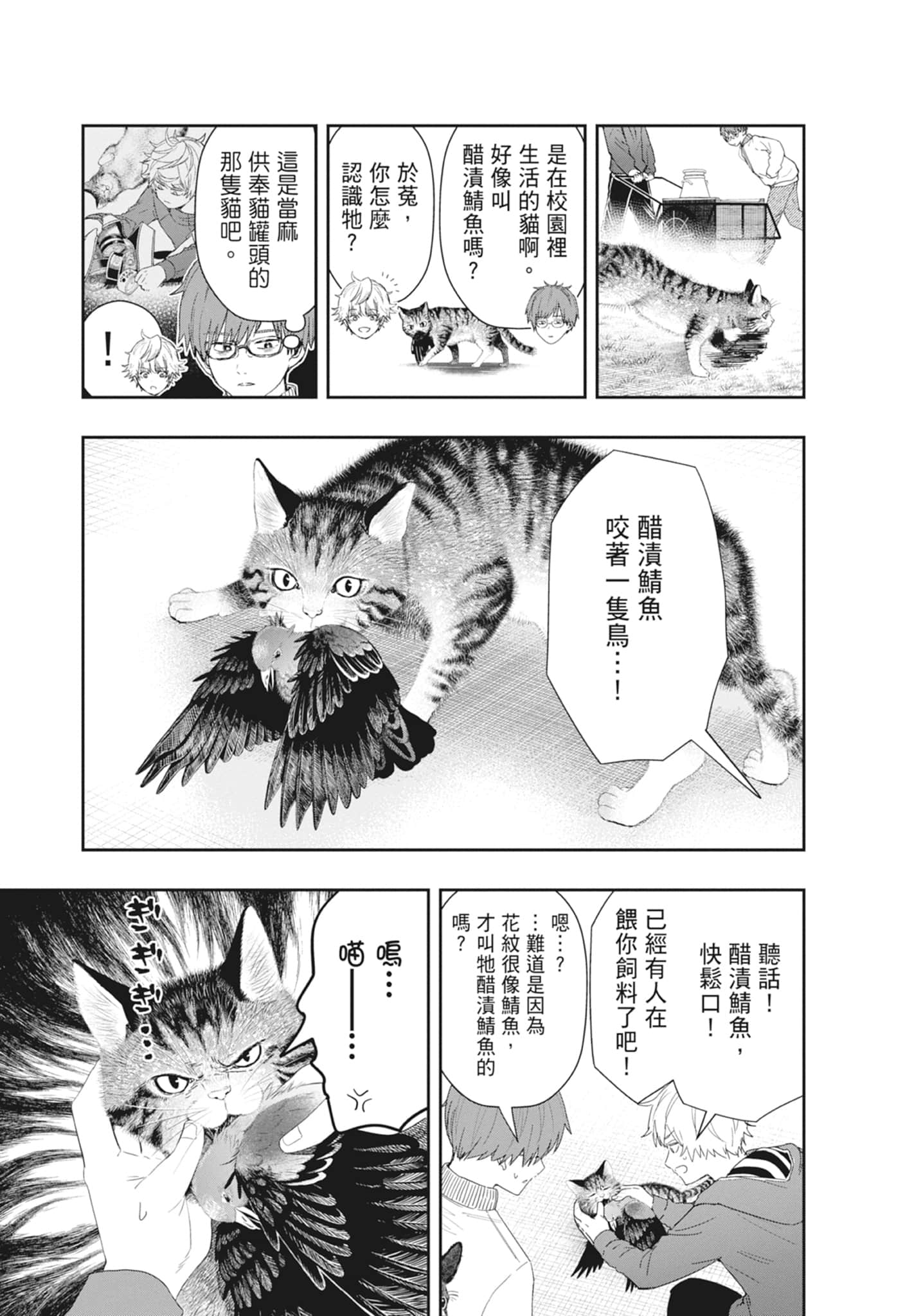 第 49 页