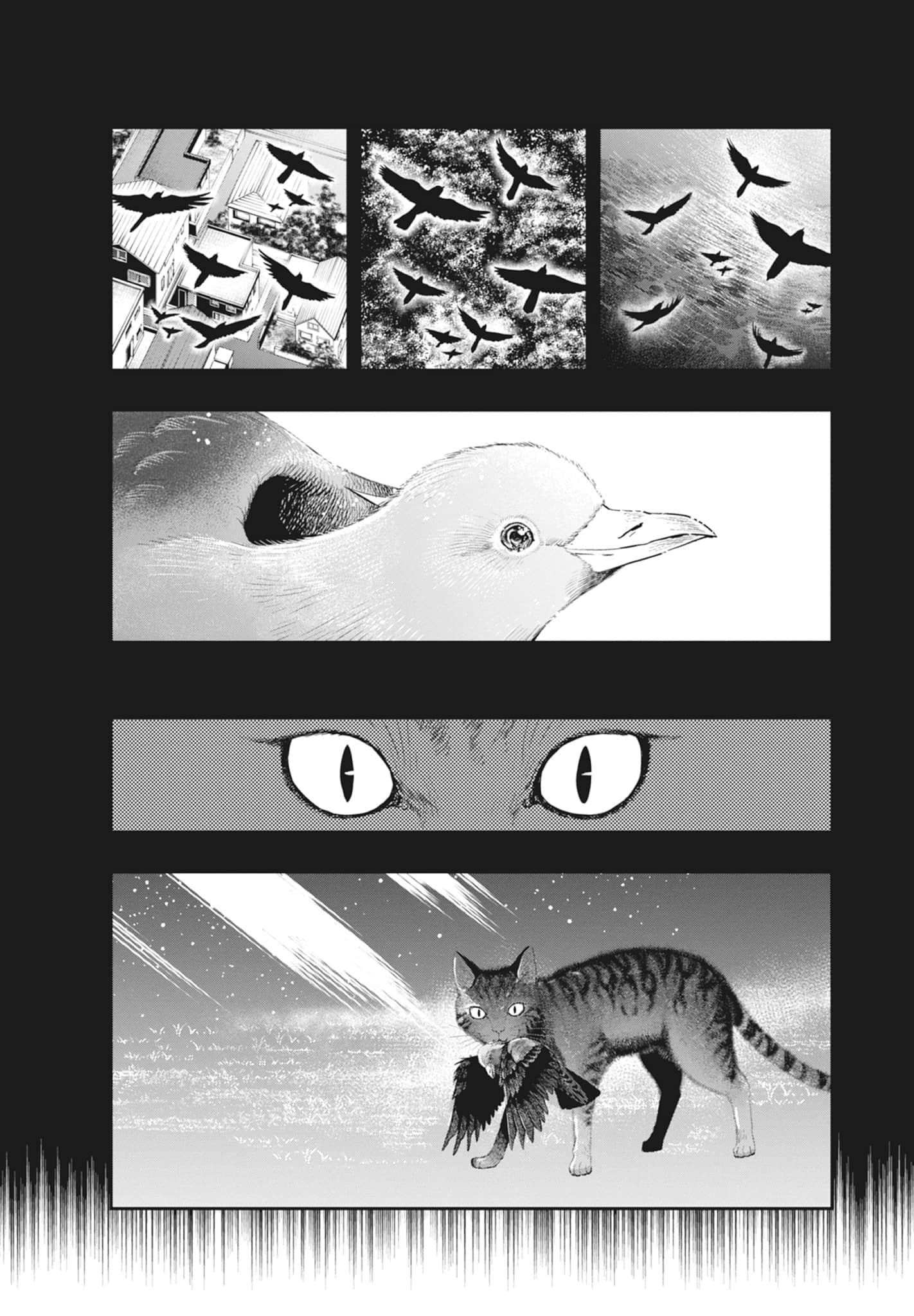 第 58 页