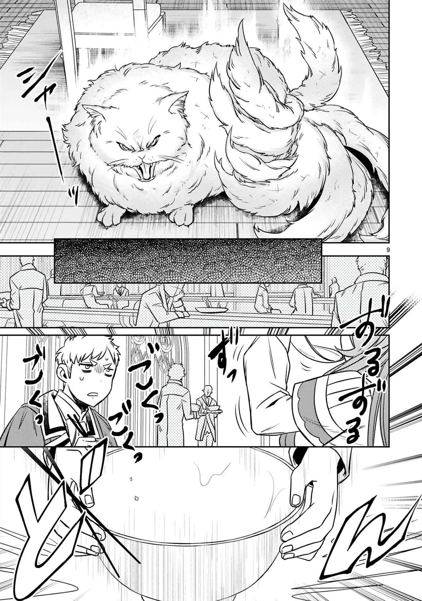 第 66 页