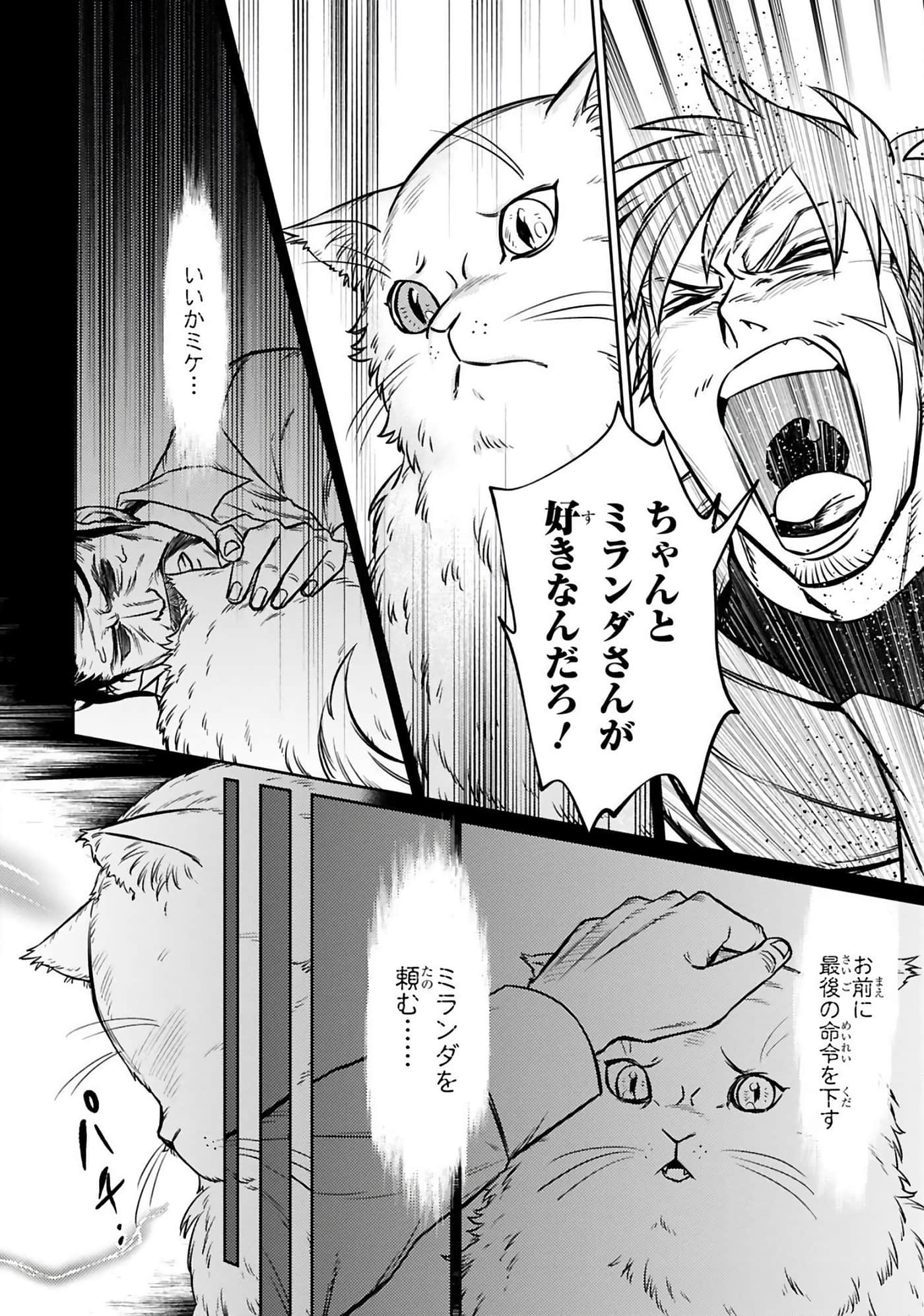 第 91 页