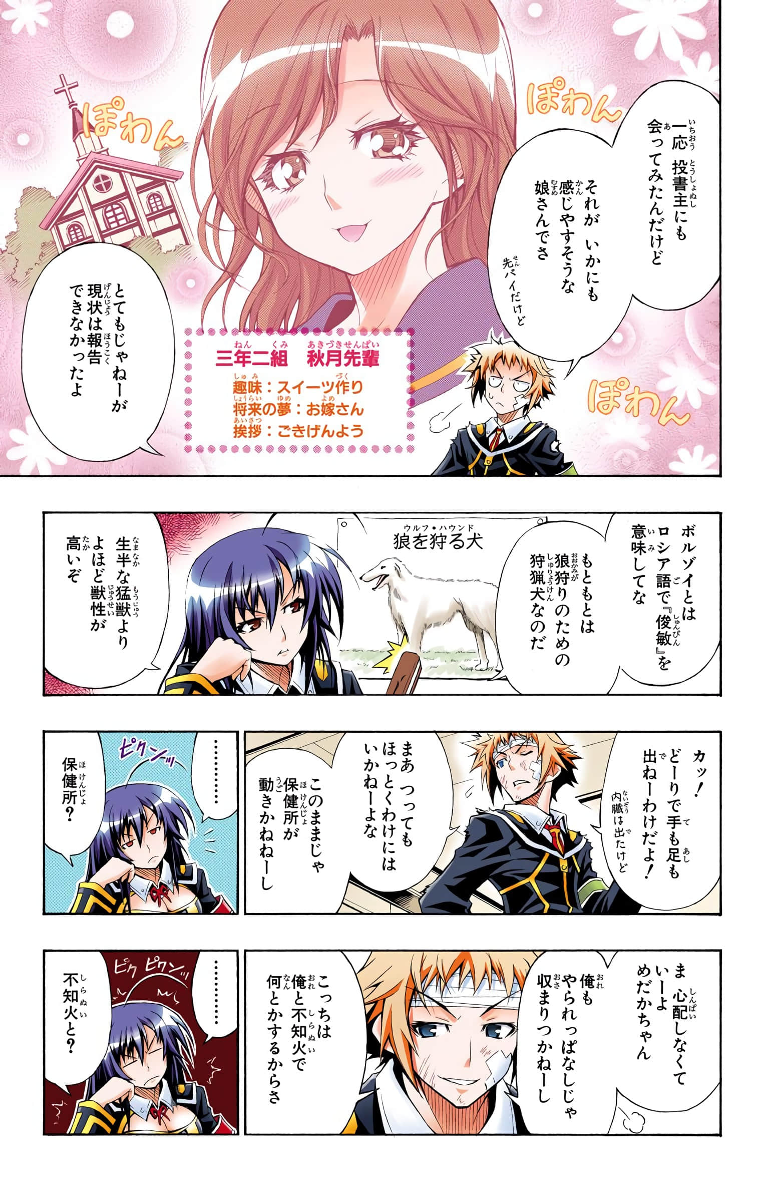 第 100 页