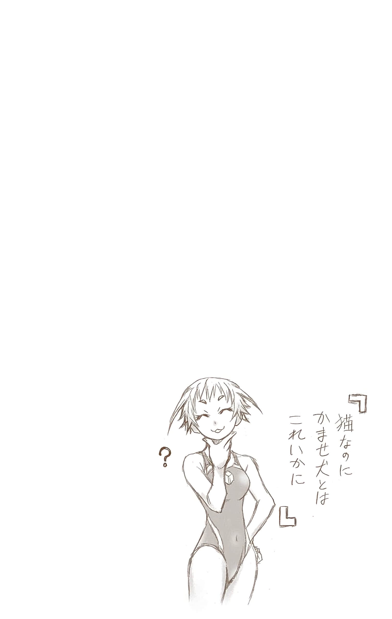第 255 页